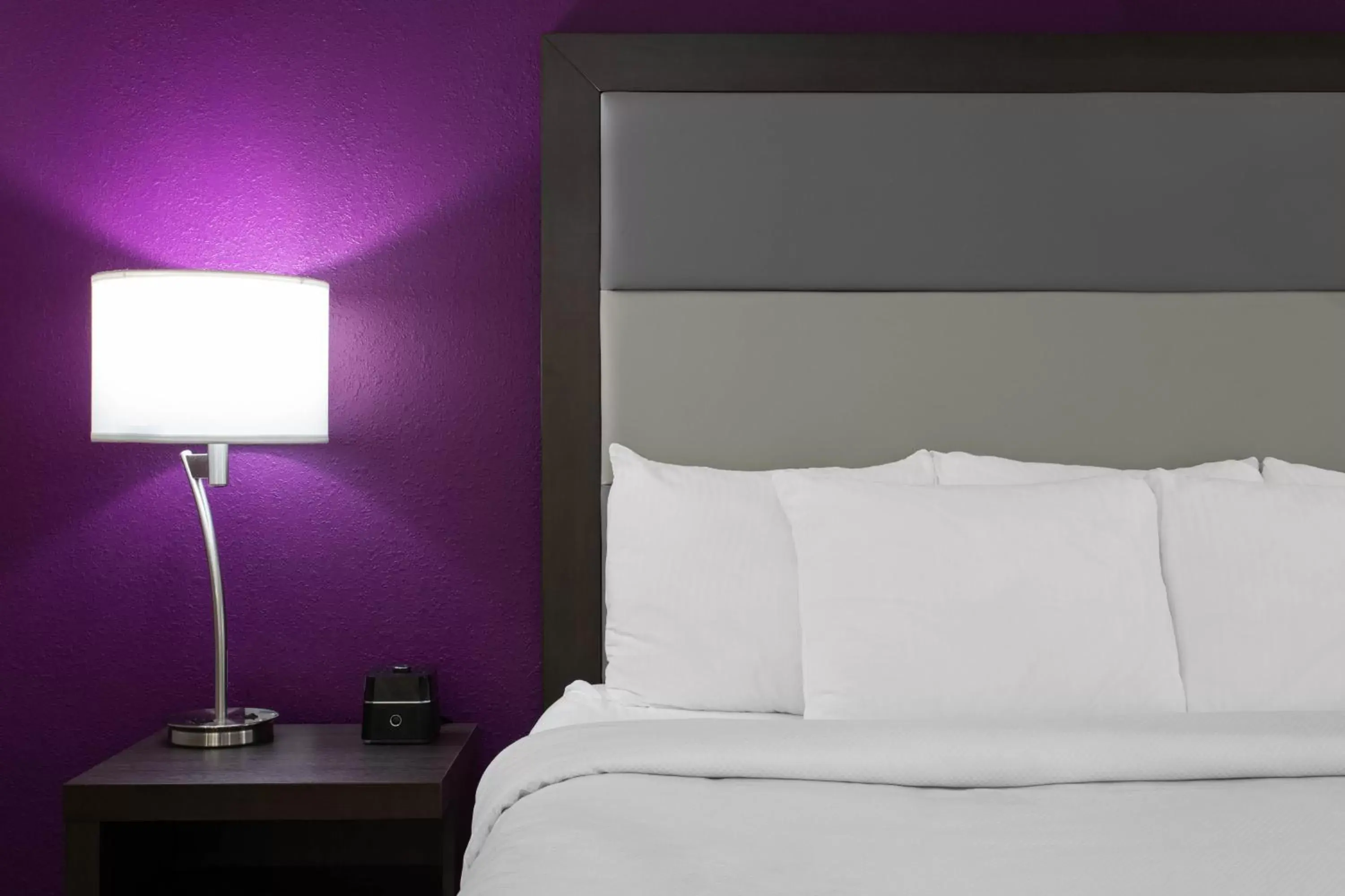 King Suite with Kitchenette - Non-Smoking in La Quinta by Wyndham Effingham King Suite with Kitchenette - Non-Smoking in La Quinta by Wyndham Effingham