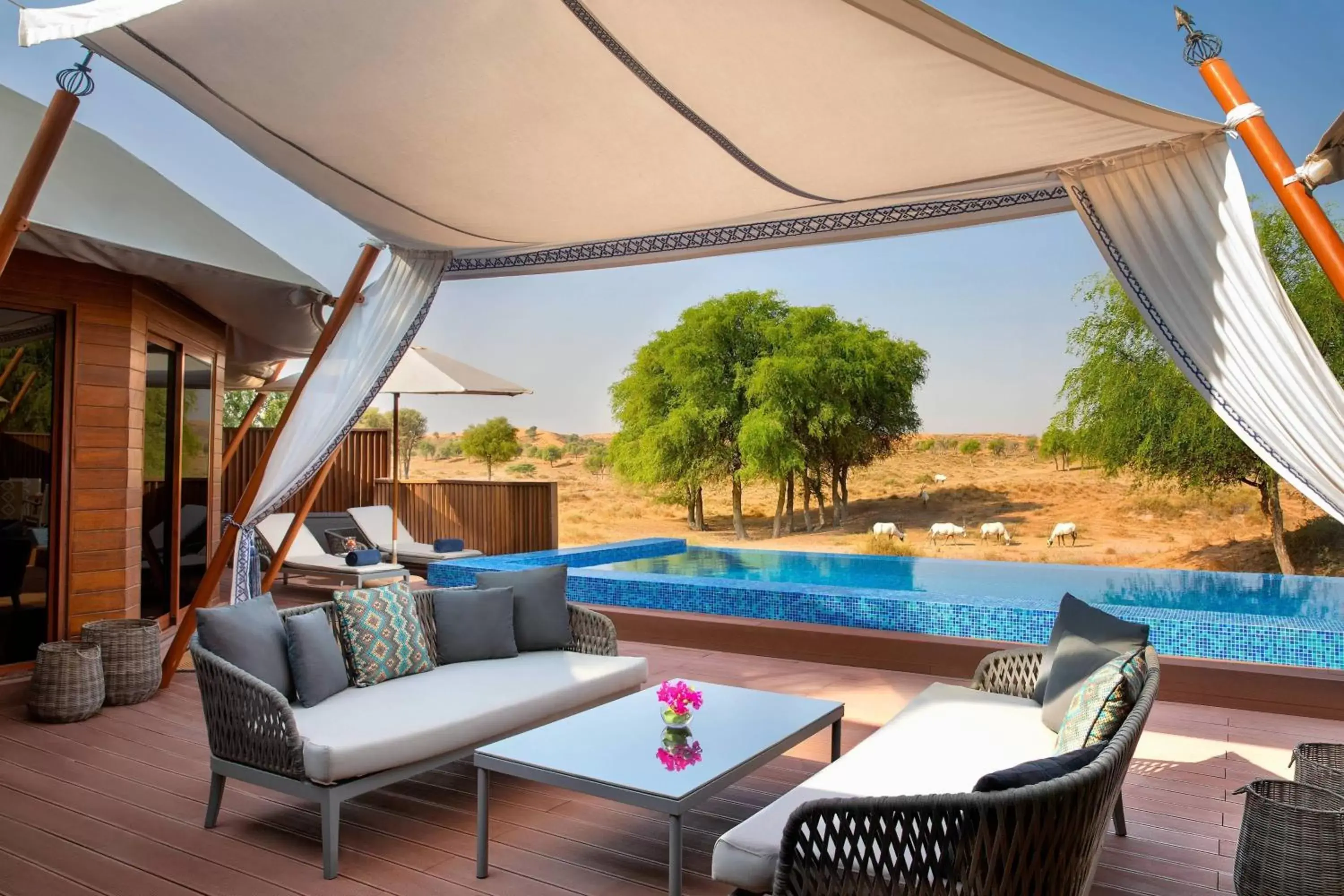 Al Sarab Desert View Pool, Villa, 1 King, Sofa bed, Private pool in The Ritz-Carlton Ras Al Khaimah, Al Wadi Desert Al Sarab Desert View Pool, Villa, 1 King, Sofa bed, Private pool in The Ritz-Carlton Ras Al Khaimah, Al Wadi Desert
