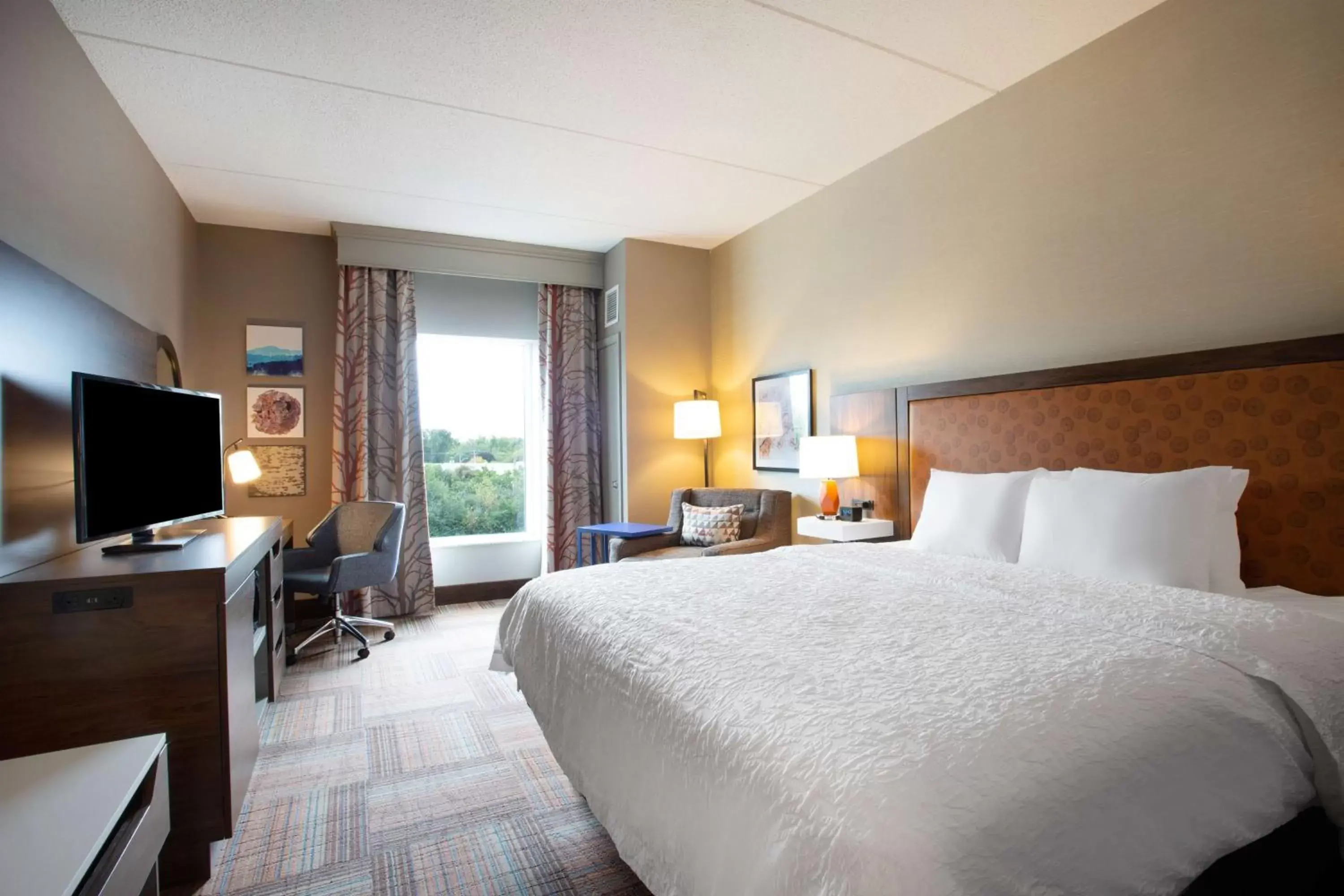 King Room - Non-Smoking in Hampton Inn Watertown King Room - Non-Smoking in Hampton Inn Watertown