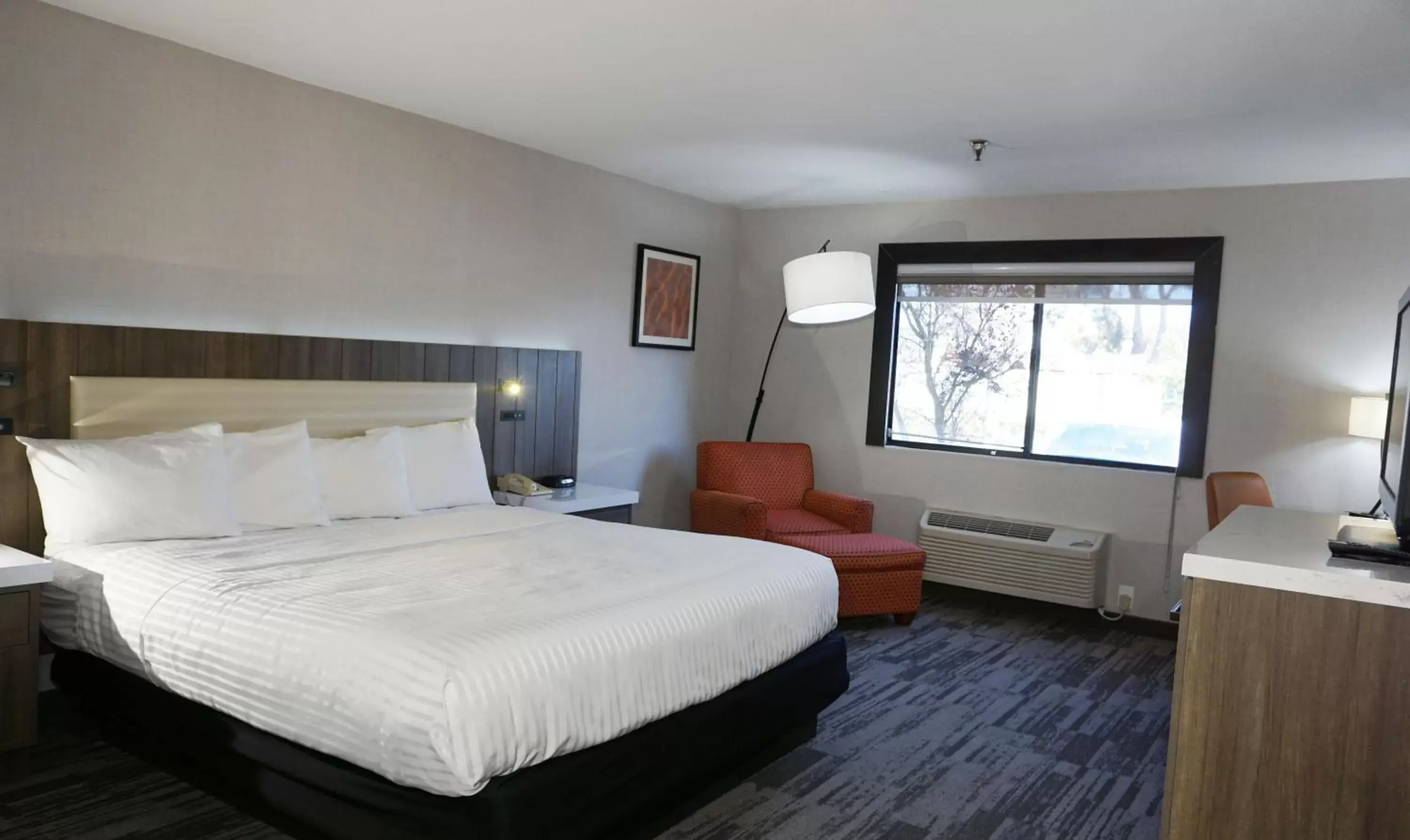 Deluxe King Studio in Modesto Hotel - Gateway to Yosemite Deluxe King Studio in Modesto Hotel - Gateway to Yosemite