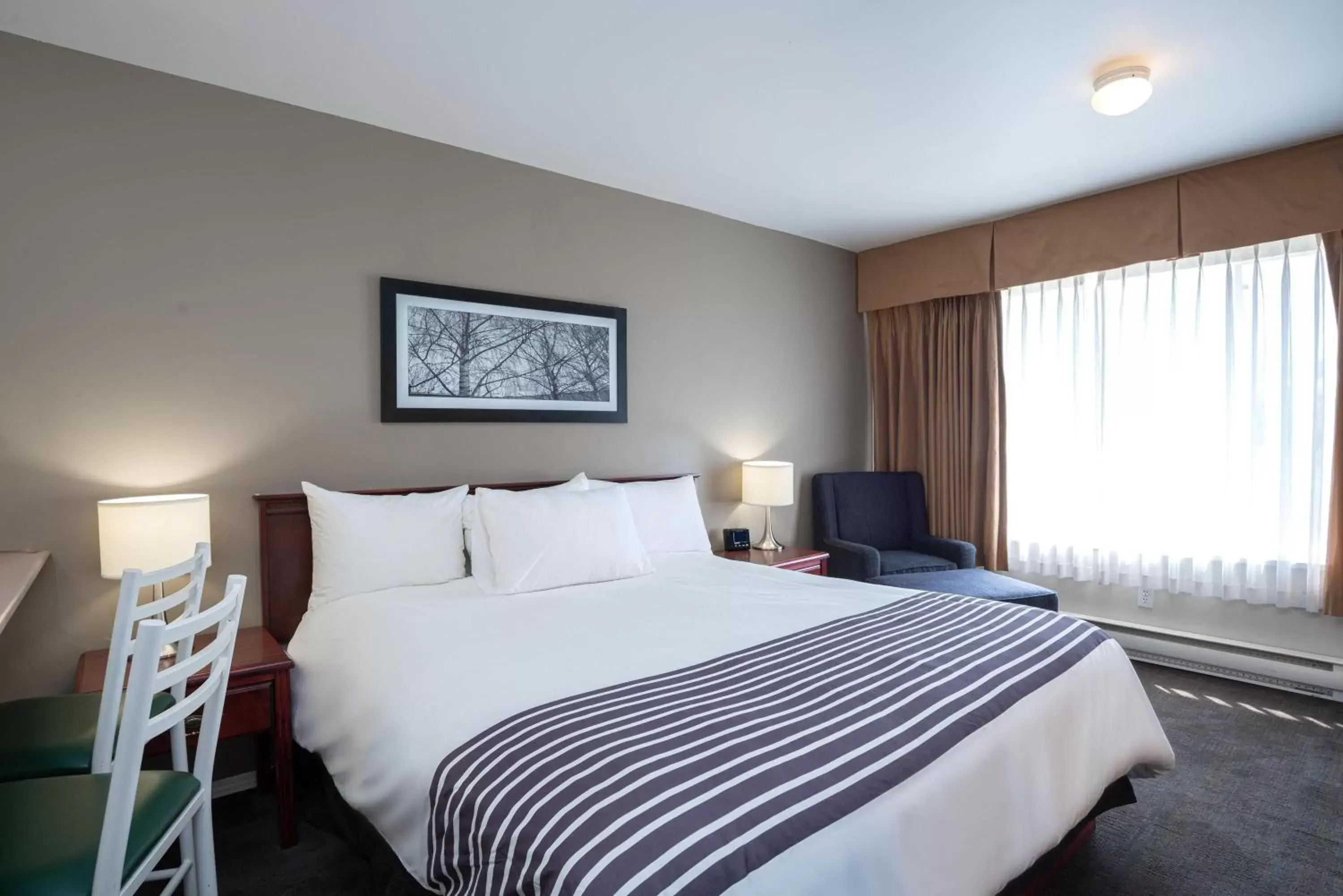 Studio Suite, 1 King Bed, Kitchen in Sandman Hotel & Suites Williams Lake Studio Suite, 1 King Bed, Kitchen in Sandman Hotel & Suites Williams Lake