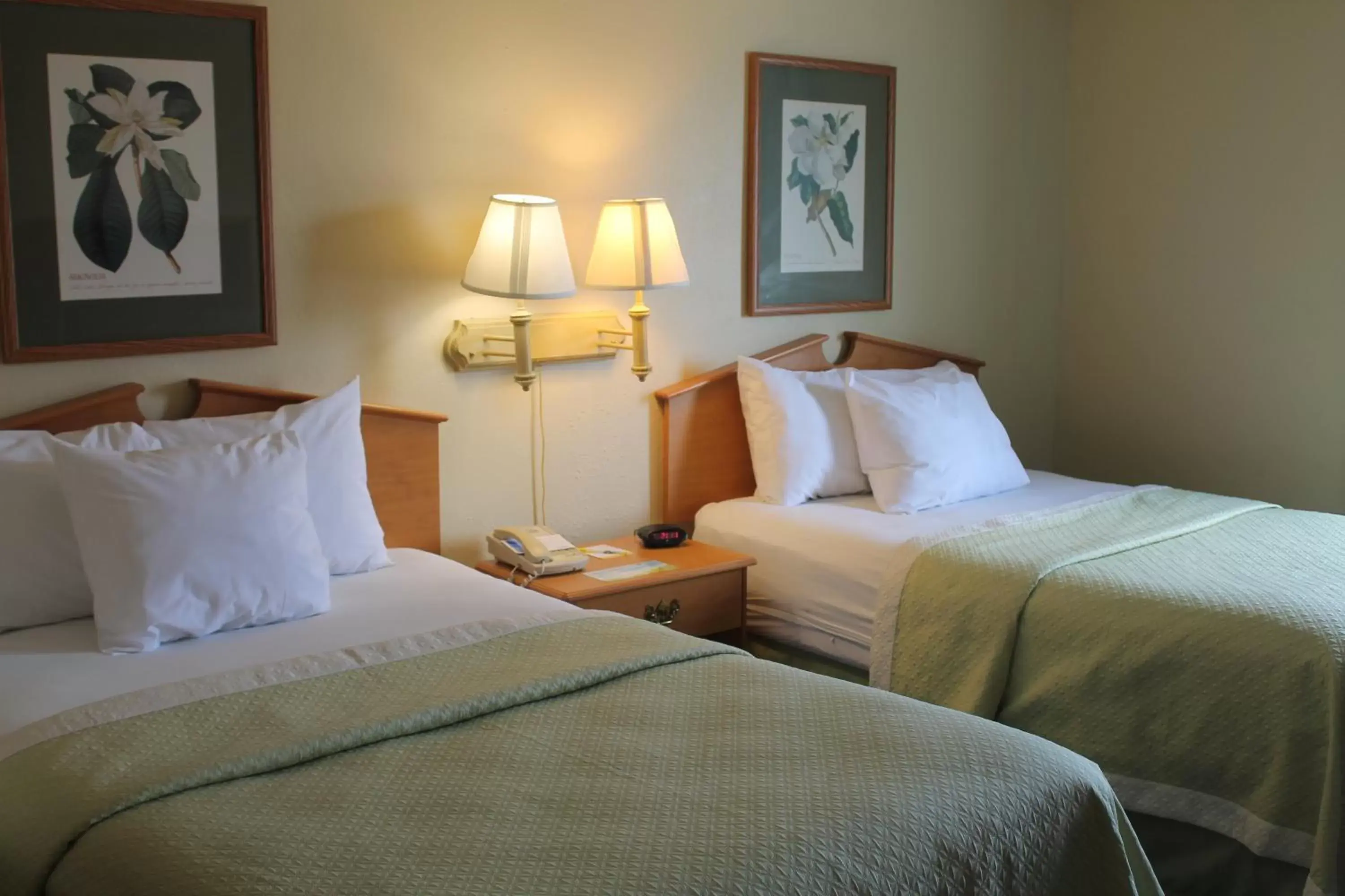 Studio Suite with Two Double Beds - Mobility Access/ Non-Smoking in Days Inn & Suites by Wyndham Bridgeport - Clarksburg Studio Suite with Two Double Beds - Mobility Access/ Non-Smoking in Days Inn & Suites by Wyndham Bridgeport - Clarksburg