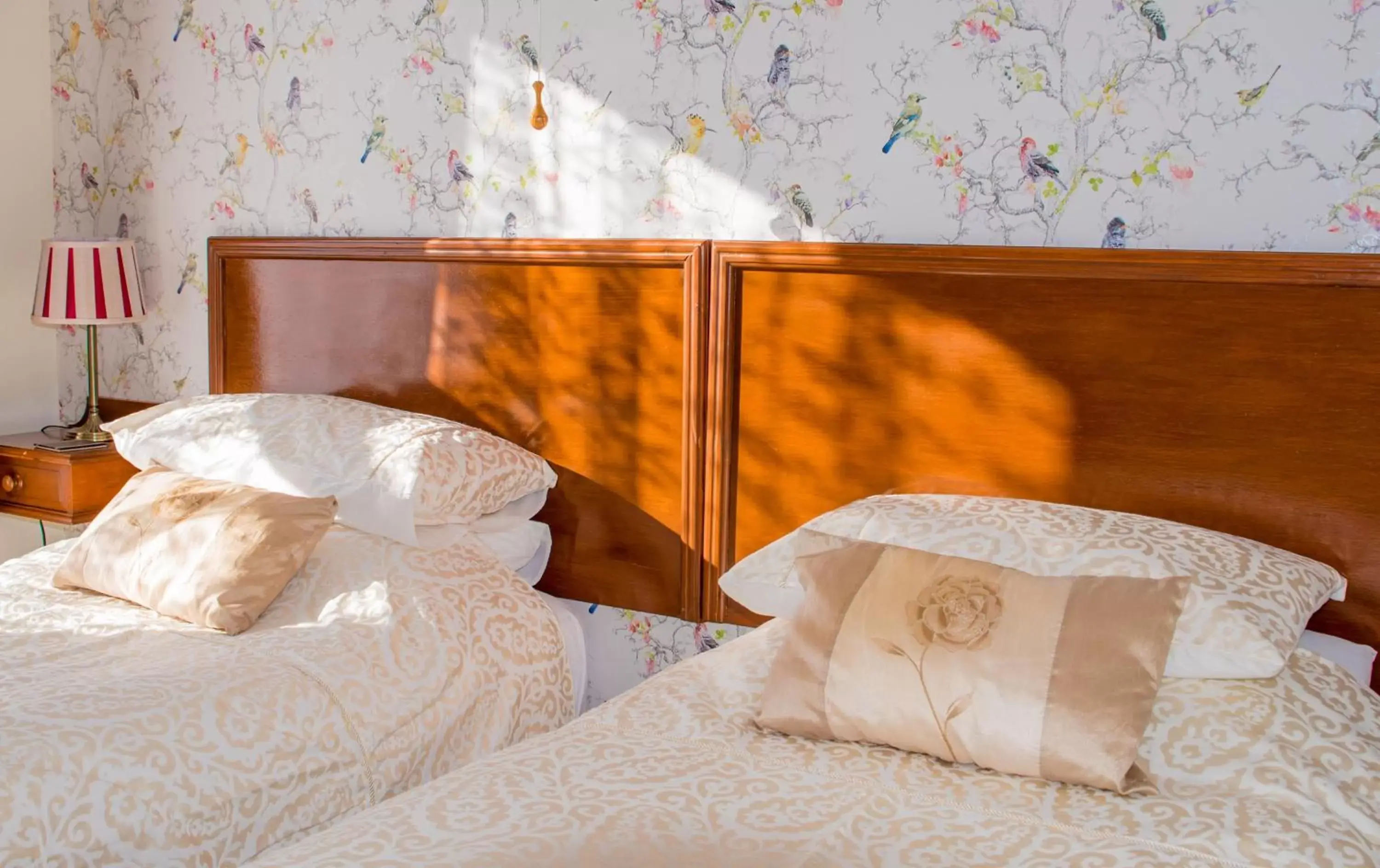 Standard Twin Room in Grange Bank House Standard Twin Room in Grange Bank House