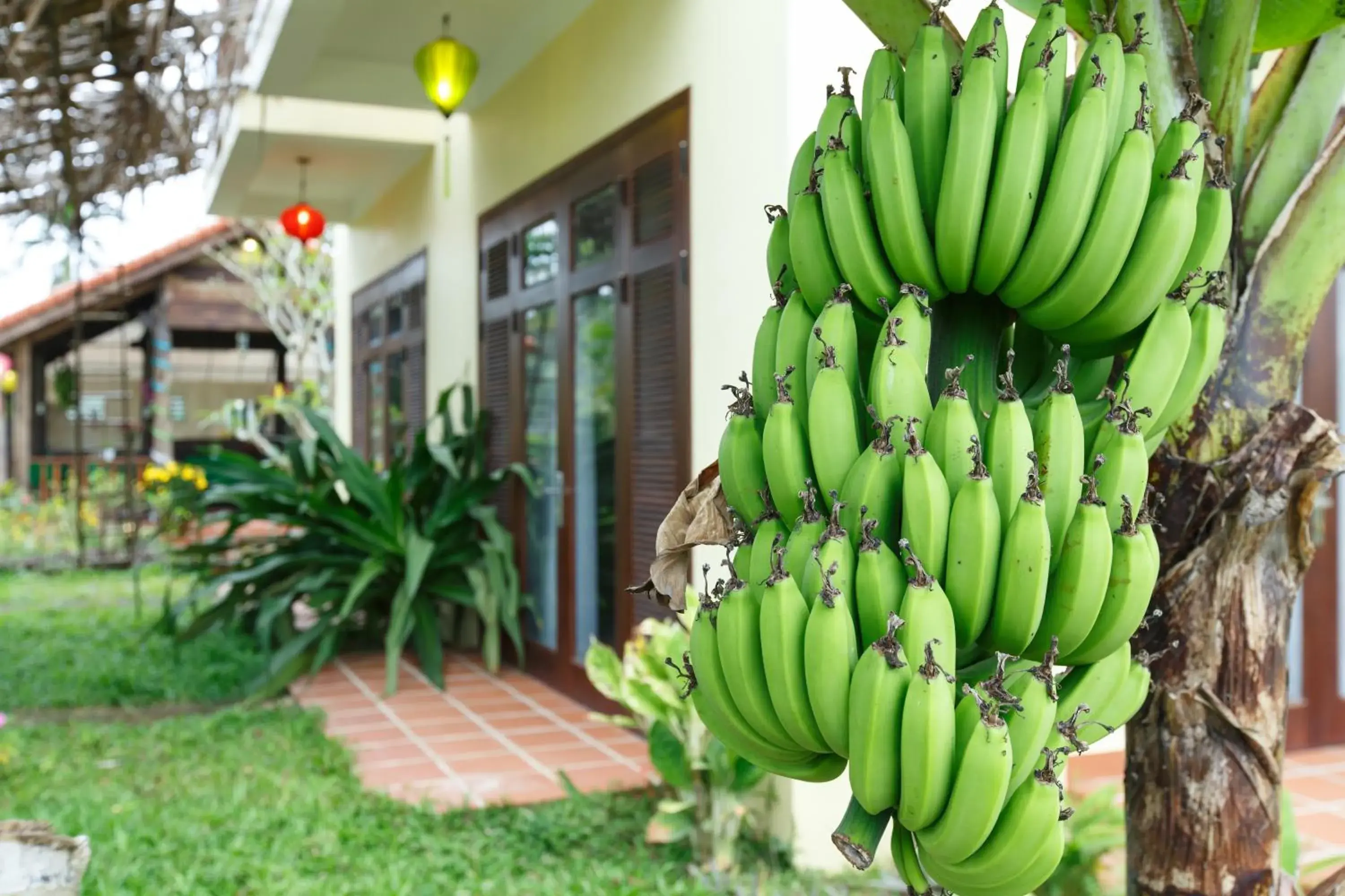 Superior Double or Twin Room - single occupancy in Lama Villa Hoi An Superior Double or Twin Room - single occupancy in Lama Villa Hoi An