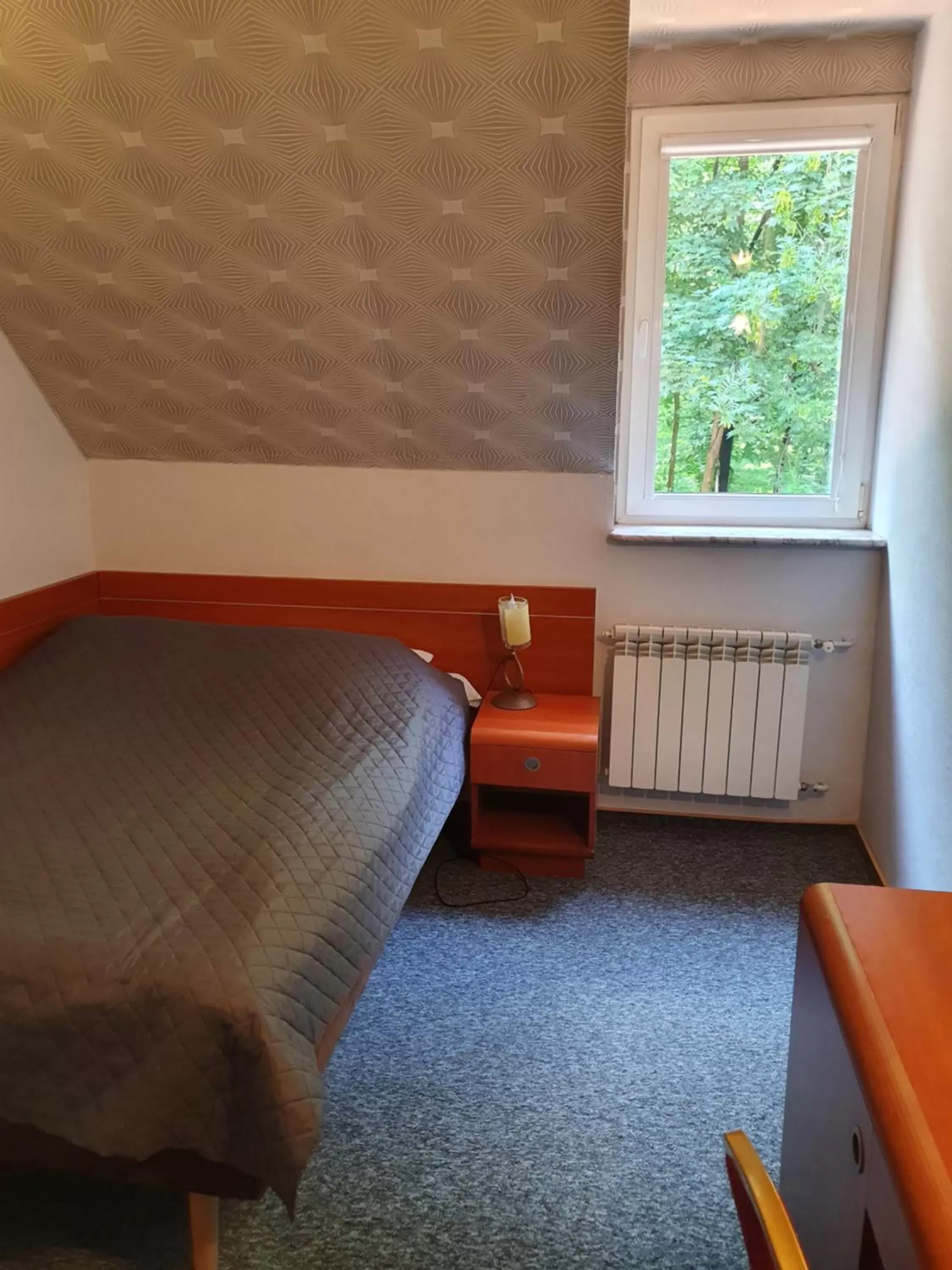 Double or Twin Room in Hotel Magnat Double or Twin Room in Hotel Magnat