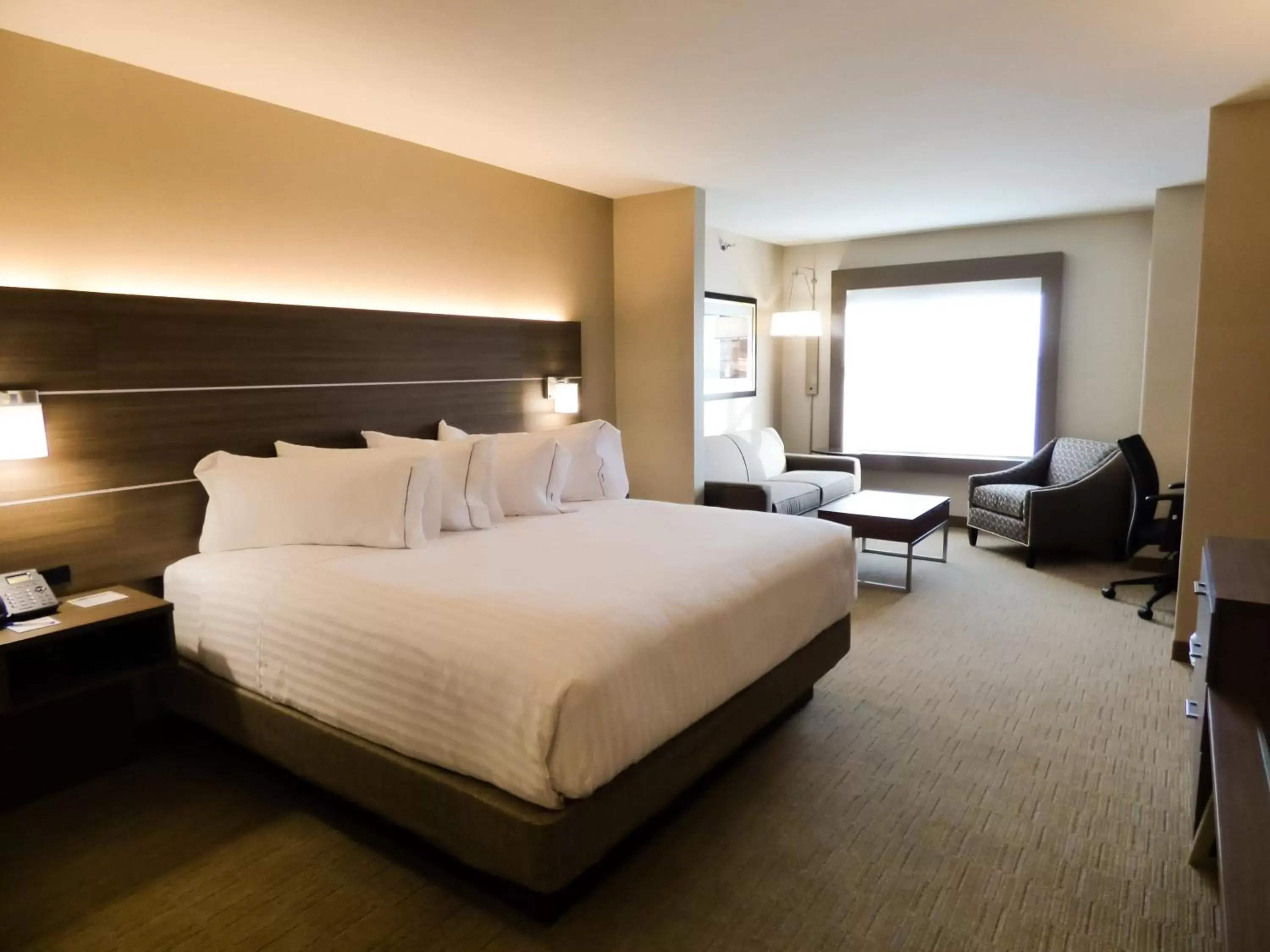 Deluxe King Room - Hearing Accessible in Holiday Inn Express & Suites Plymouth - Ann Arbor Area, an IHG Hotel Deluxe King Room - Hearing Accessible in Holiday Inn Express & Suites Plymouth - Ann Arbor Area, an IHG Hotel