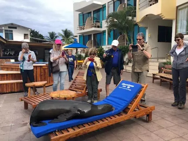 Hotel Solymar Hotel Solymar