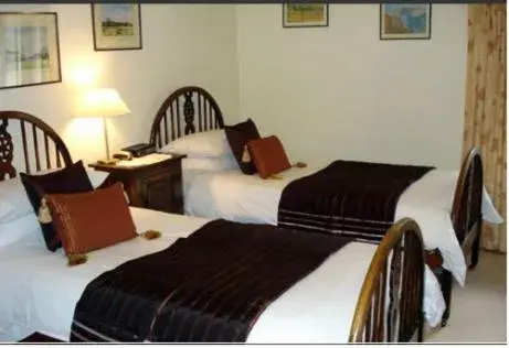 Twin Room with Shared Bathroom in Best Inn Hotel Twin Room with Shared Bathroom in Best Inn Hotel