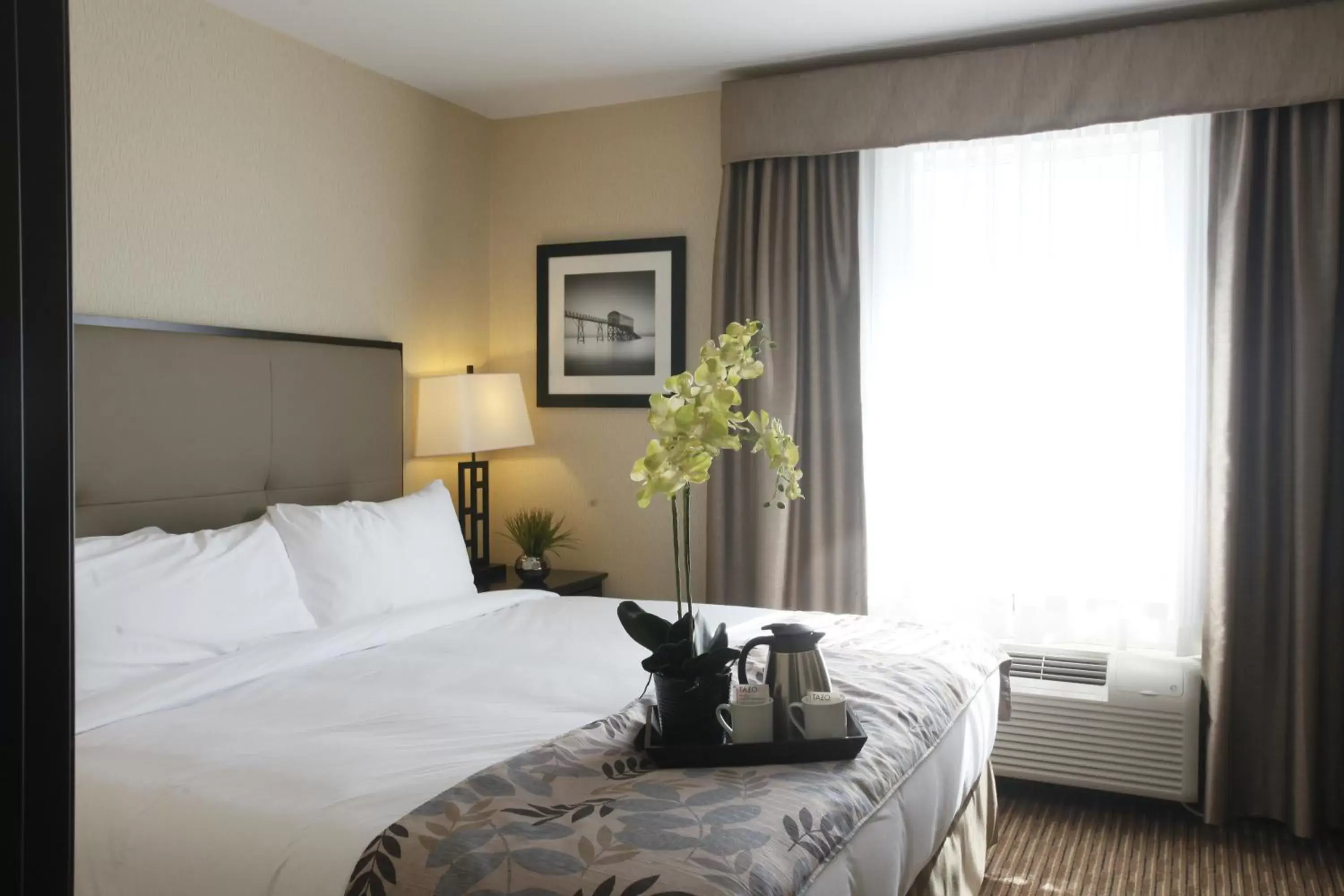 Queen Studio - Disability Access in Pomeroy Inn & Suites at Olds College Queen Studio - Disability Access in Pomeroy Inn & Suites at Olds College