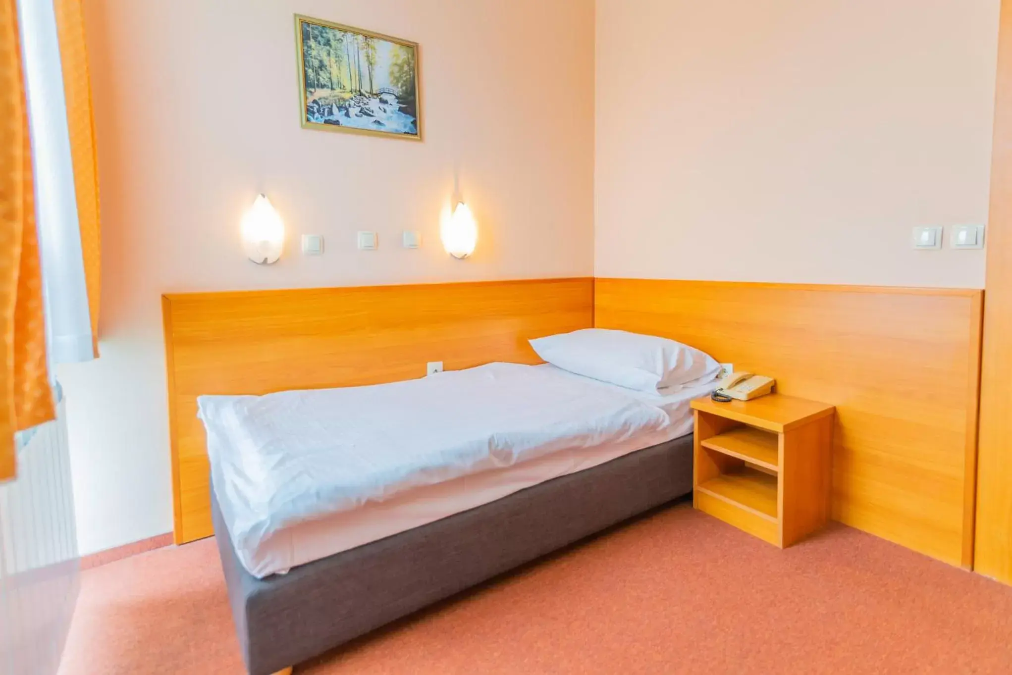 Economy Single Room in Hotel Park Economy Single Room in Hotel Park