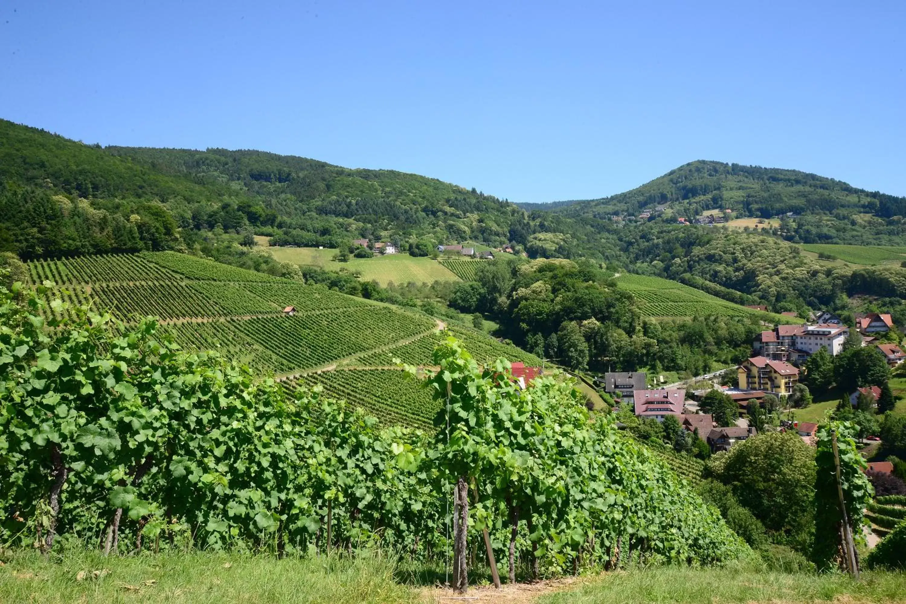 Studio with Balcony in Residence am Weinberg / Travellers Hotelbetriebs GmbH Studio with Balcony in Residence am Weinberg / Travellers Hotelbetriebs GmbH
