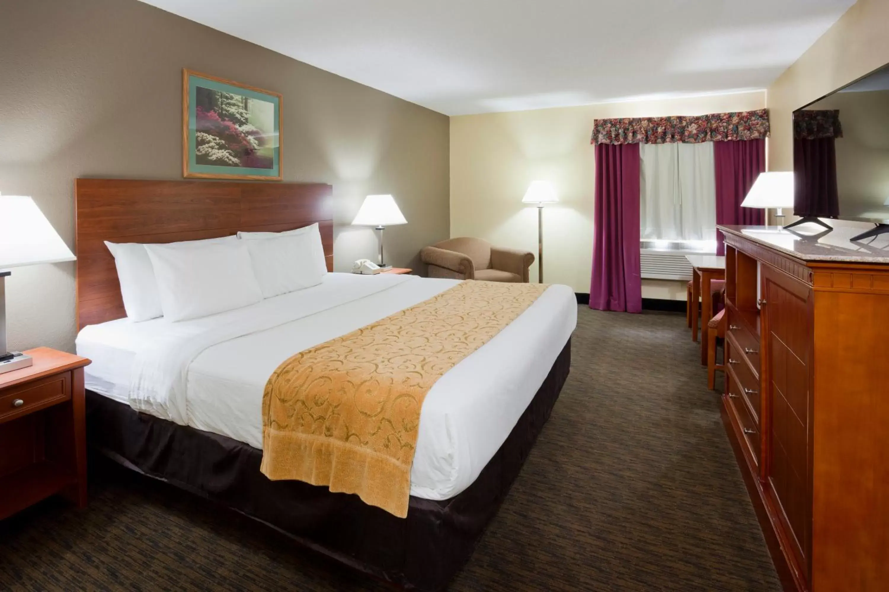 Deluxe King Room in GrandStay Hotel and Suite Waseca Deluxe King Room in GrandStay Hotel and Suite Waseca