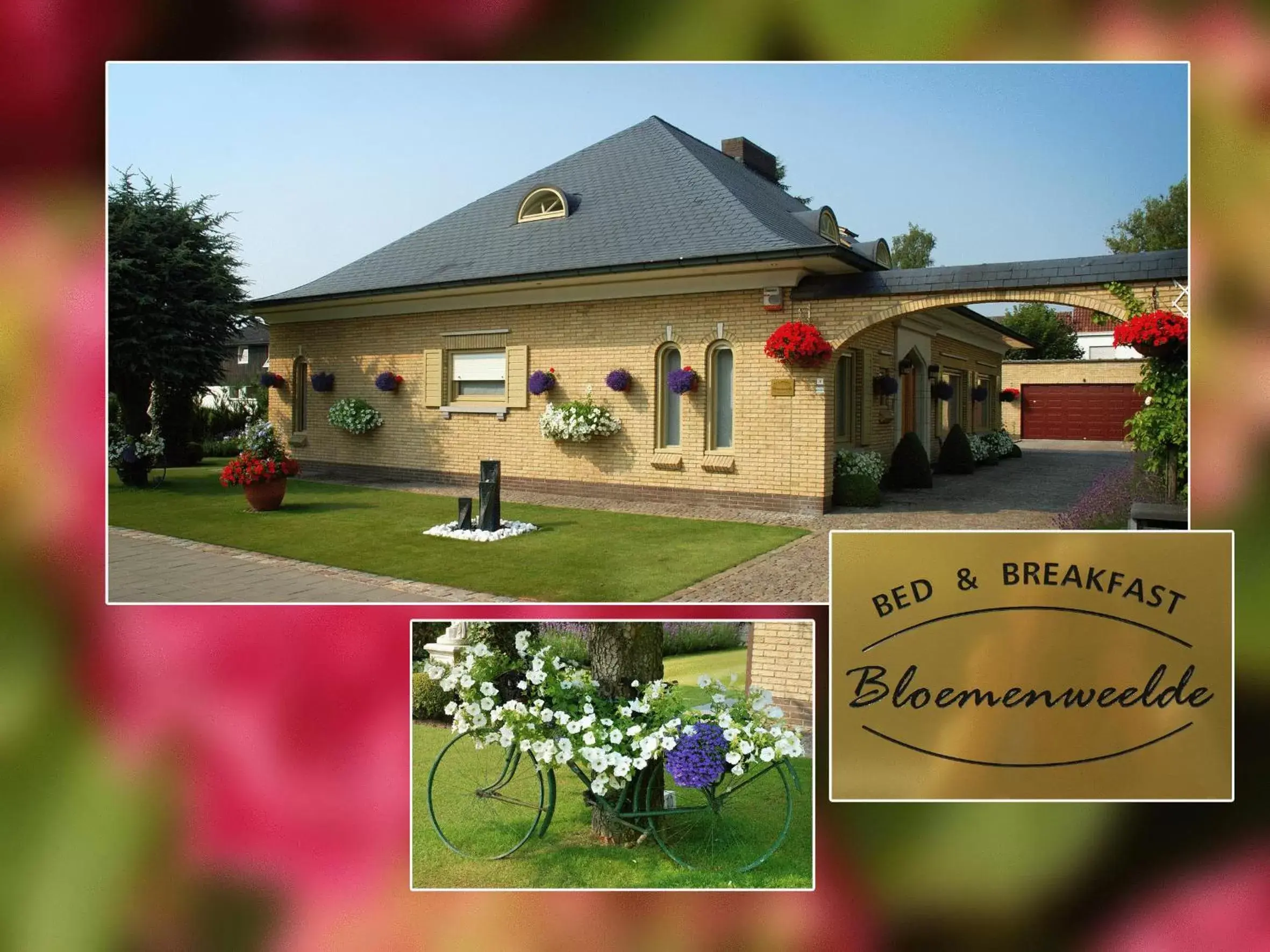 B&B Bloemenweelde B&B Bloemenweelde
