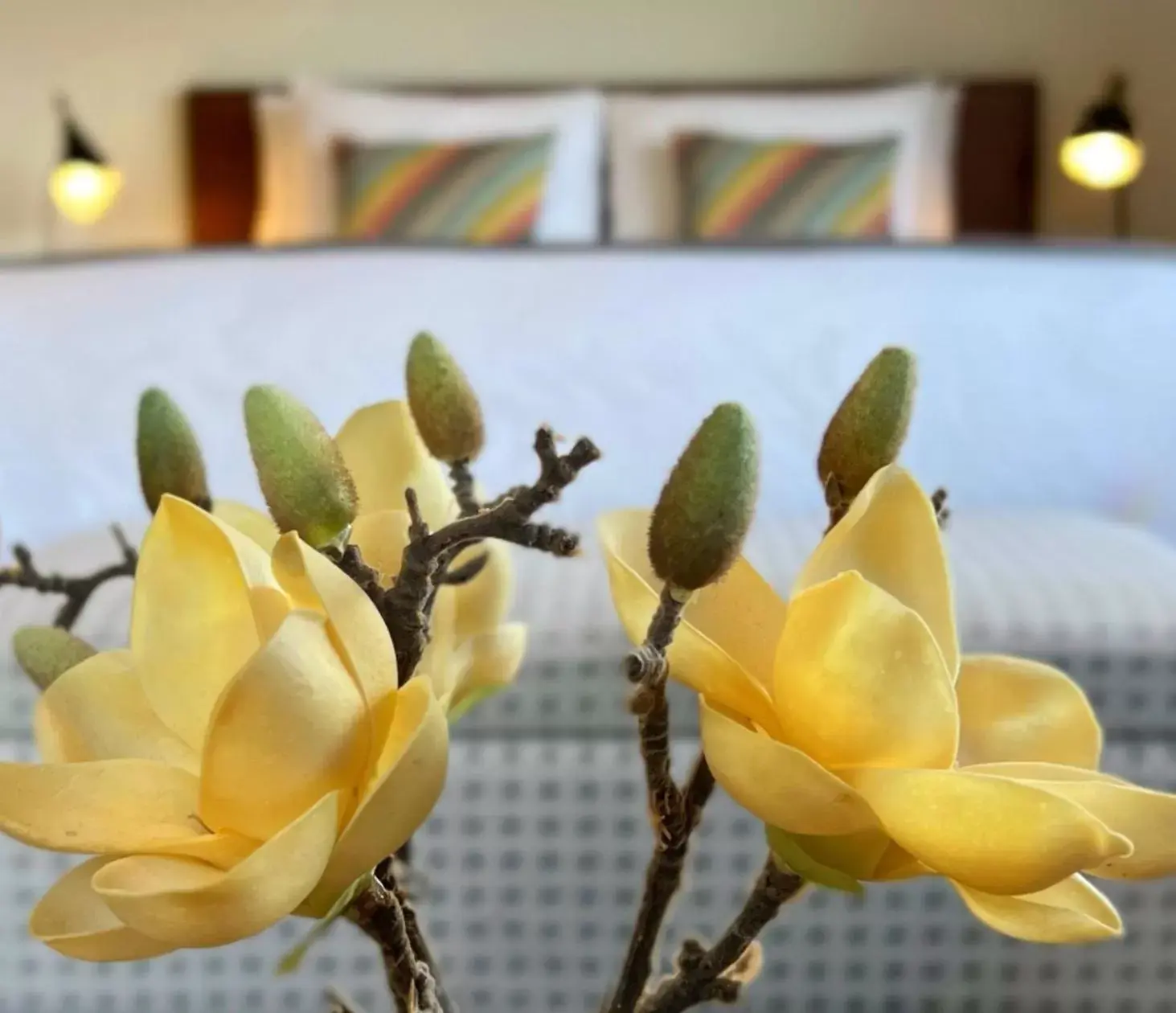 Quadruple Room with Sea View - Cape in Artisan Suites on Bowen Quadruple Room with Sea View - Cape in Artisan Suites on Bowen