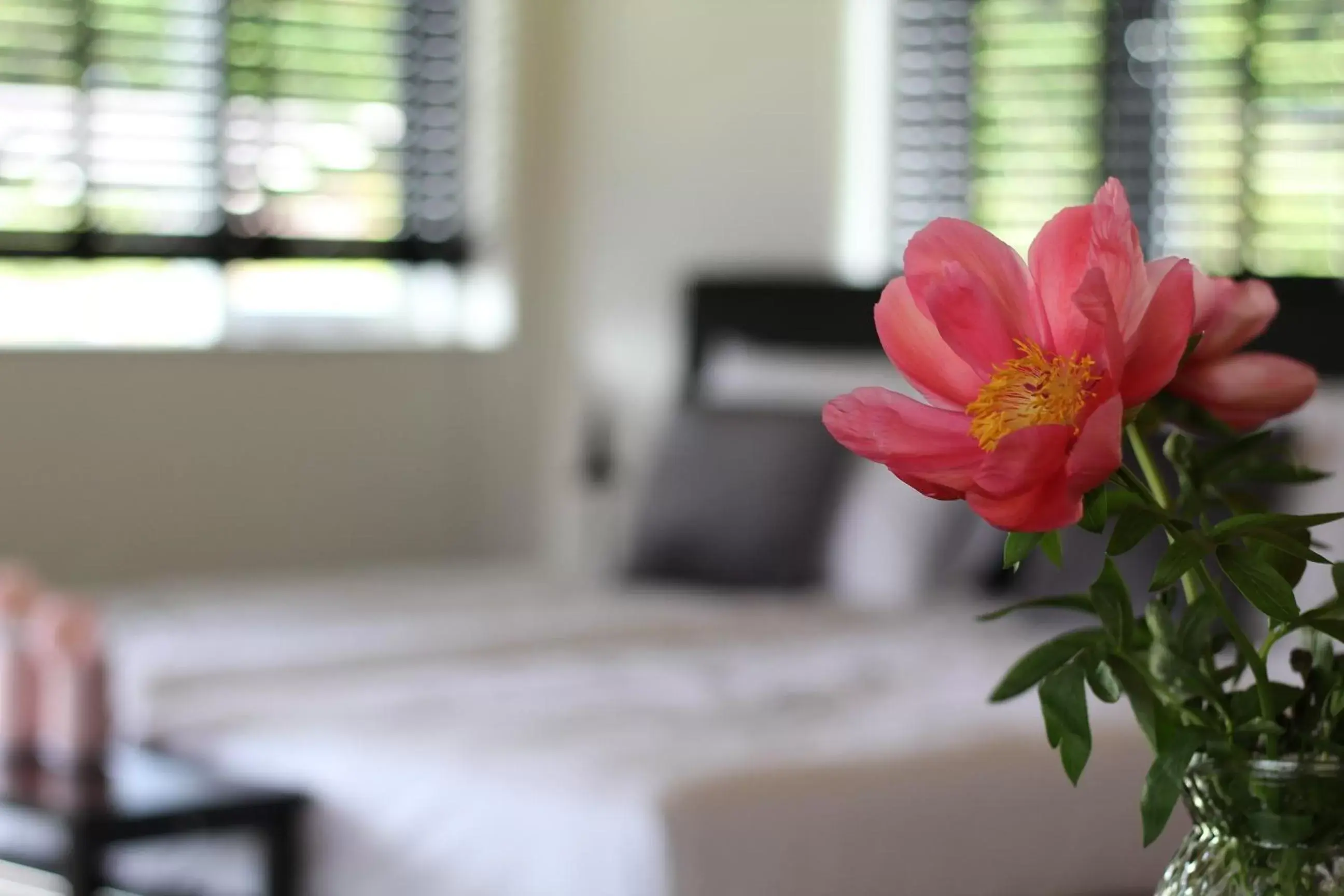 King Room with Garden View in Bed & Breakfast Bij de Wilg King Room with Garden View in Bed & Breakfast Bij de Wilg