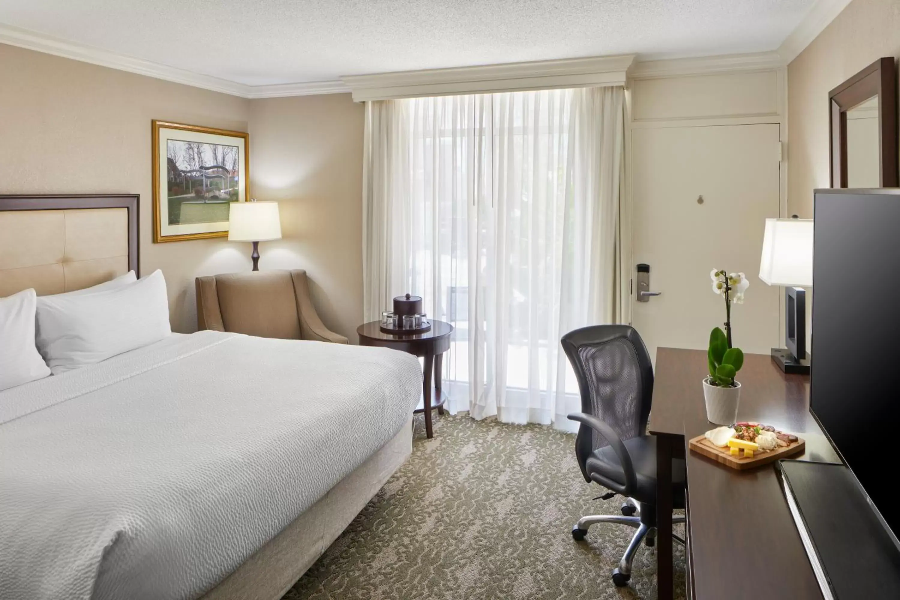 King Room with Roll-In Shower - Disability Access in Ohio University Inn and Conference Center King Room with Roll-In Shower - Disability Access in Ohio University Inn and Conference Center