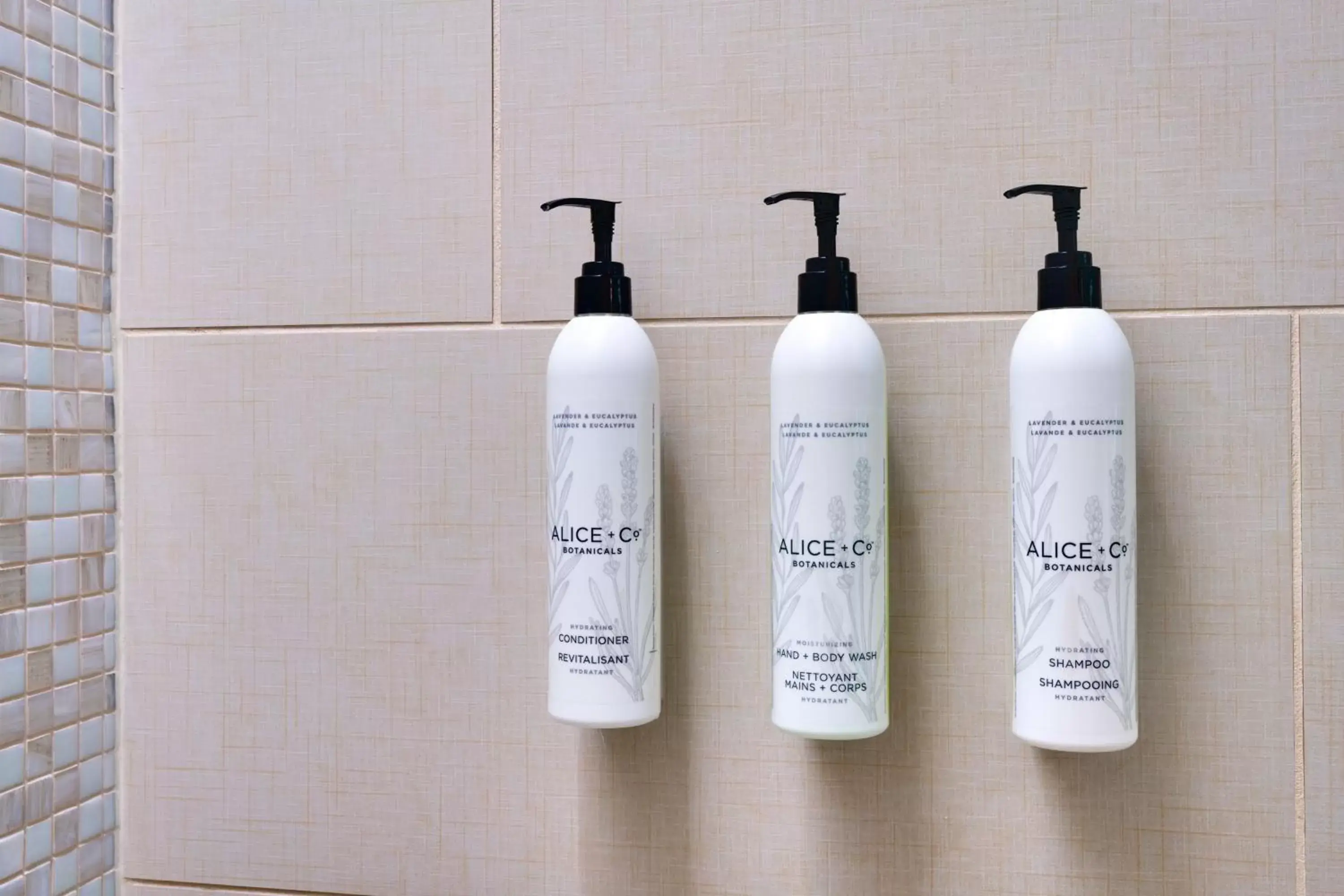 King Suite with Trundle Bed - Hearing Accessible in SpringHill Suites by Marriott Las Vegas Convention Center King Suite with Trundle Bed - Hearing Accessible in SpringHill Suites by Marriott Las Vegas Convention Center