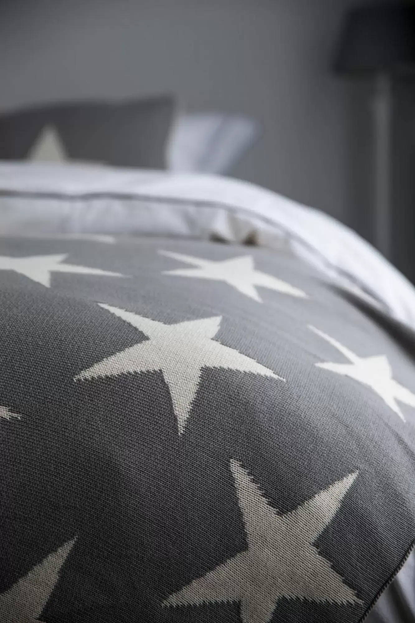 Economy Single Room in De Roos Leeuwarden Economy Single Room in De Roos Leeuwarden