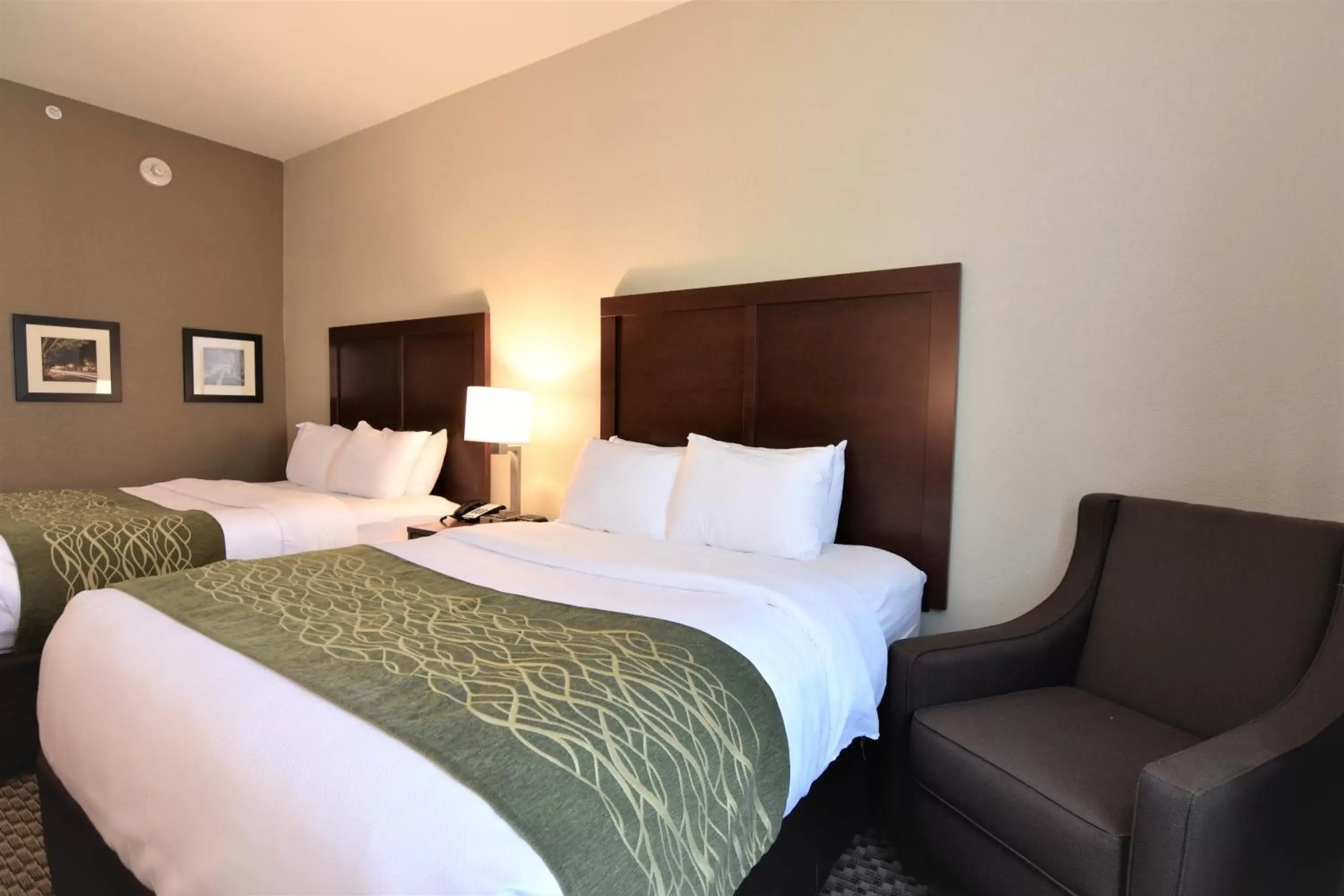 Queen Room with Two Queen Beds - Accessible/Non-Smoking in Comfort Inn & Suites Rock Hill Northeast Queen Room with Two Queen Beds - Accessible/Non-Smoking in Comfort Inn & Suites Rock Hill Northeast