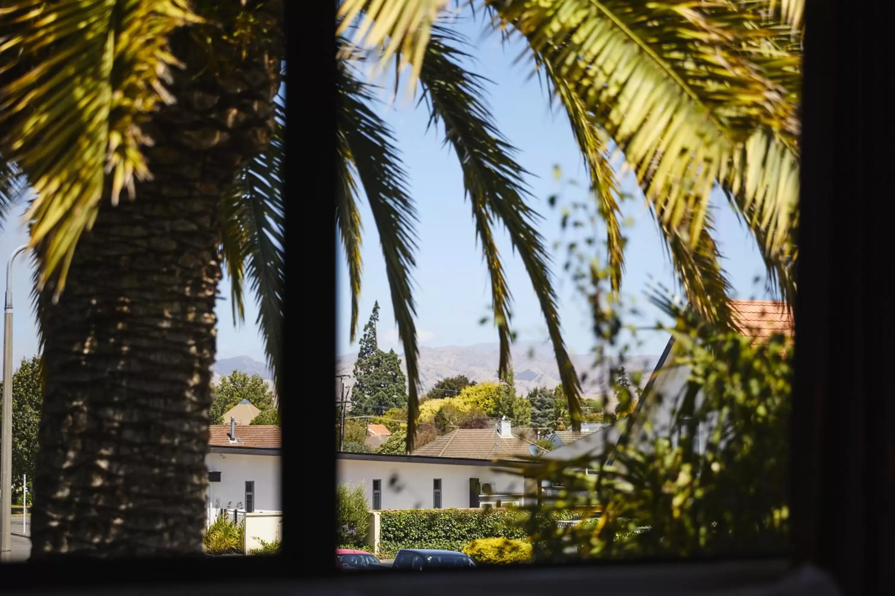 Studio in Blenheim Palms Motel Studio in Blenheim Palms Motel