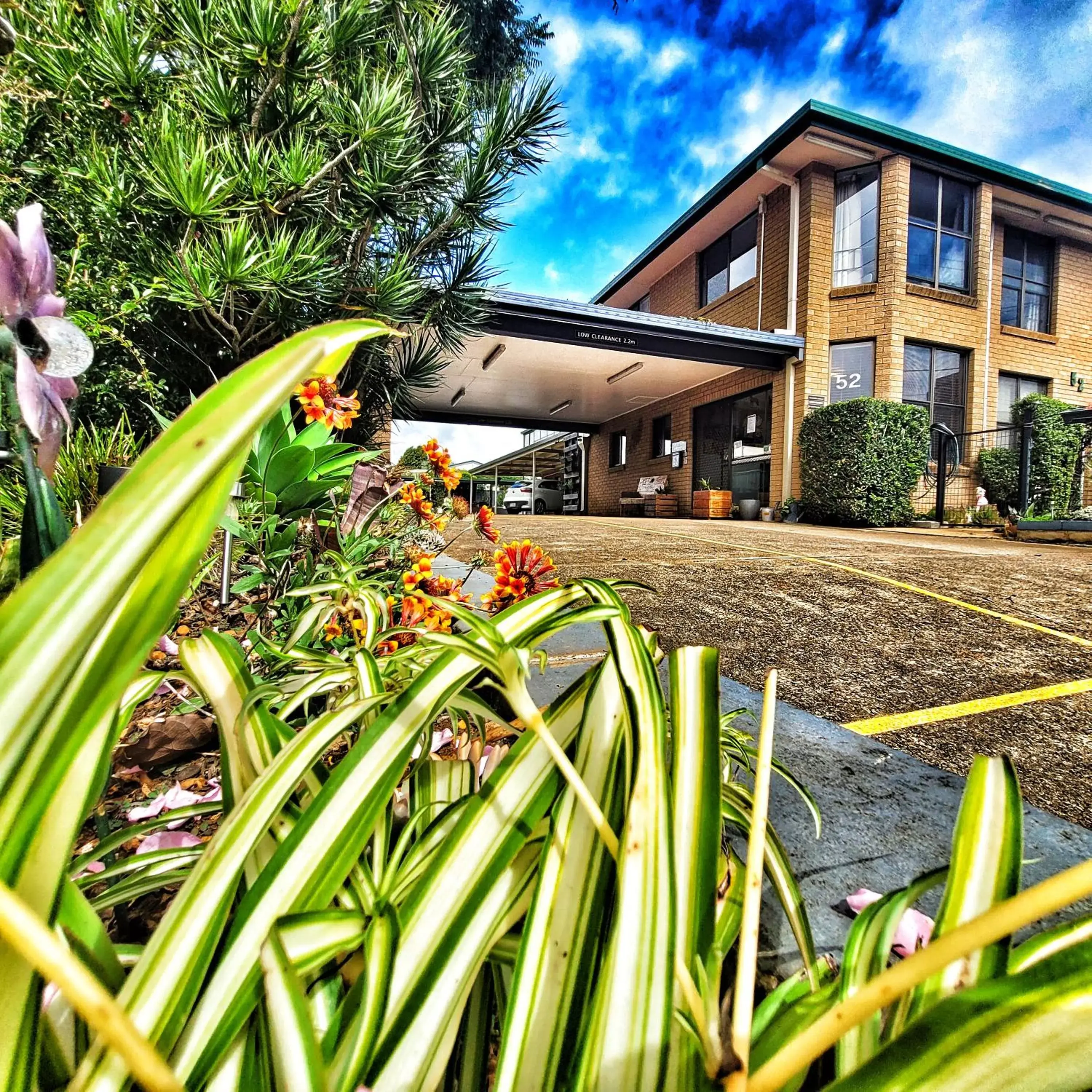 Raceview Motor Inn Raceview Motor Inn