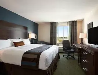 King Room - Non-Smoking in Wingate by Wyndham Seminole King Room - Non-Smoking in Wingate by Wyndham Seminole