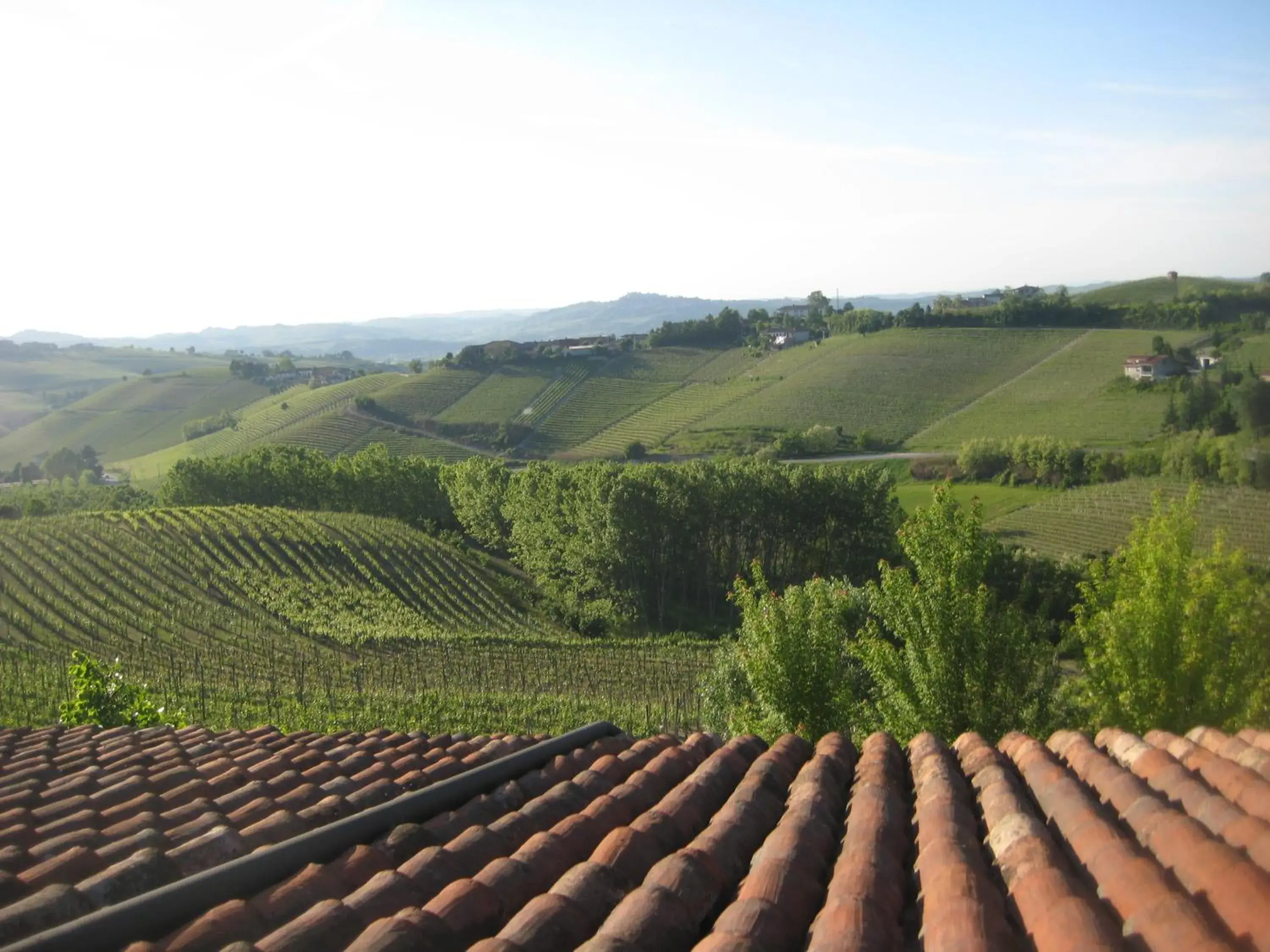 Executive Double or Twin Room in Hotel Villa Lauri Executive Double or Twin Room in Hotel Villa Lauri