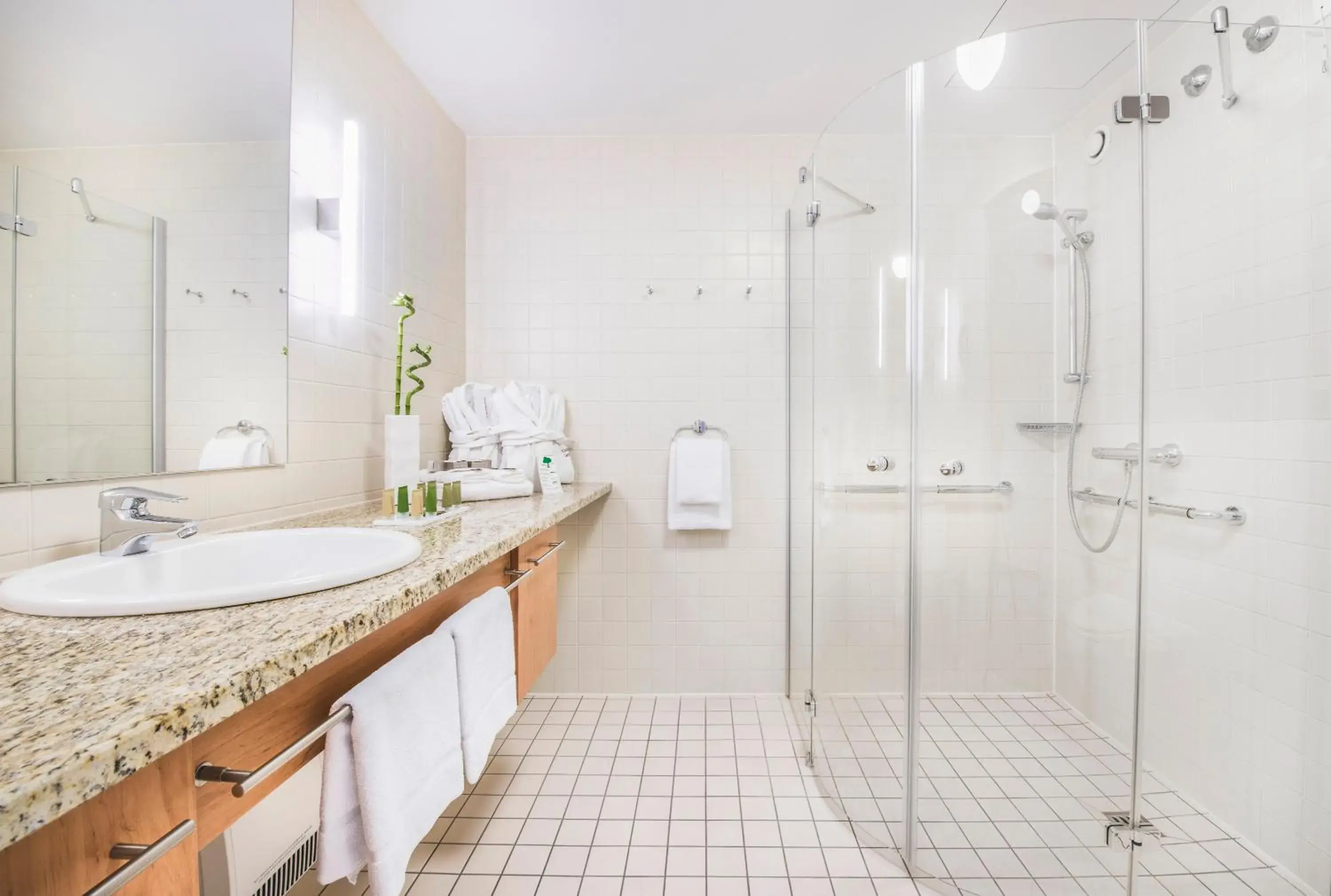 Superior Deluxe in Collegium Leoninum Superior Deluxe in Collegium Leoninum