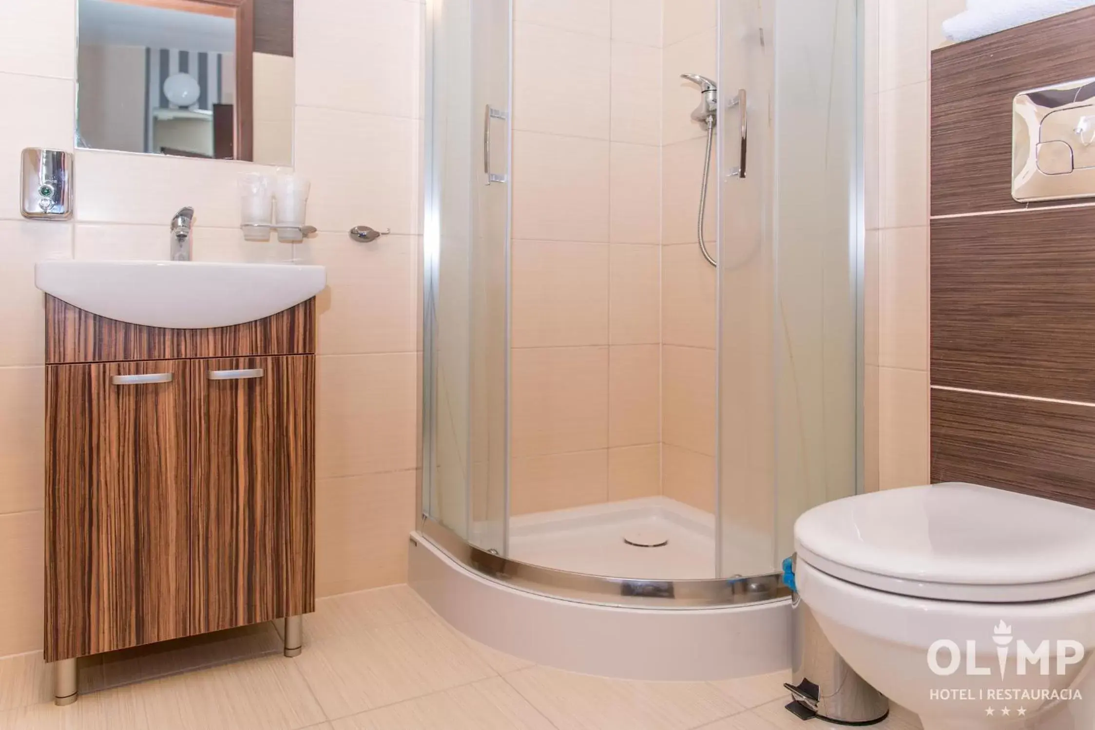 Double Room - single occupancy in Hotel Olimp Double Room - single occupancy in Hotel Olimp