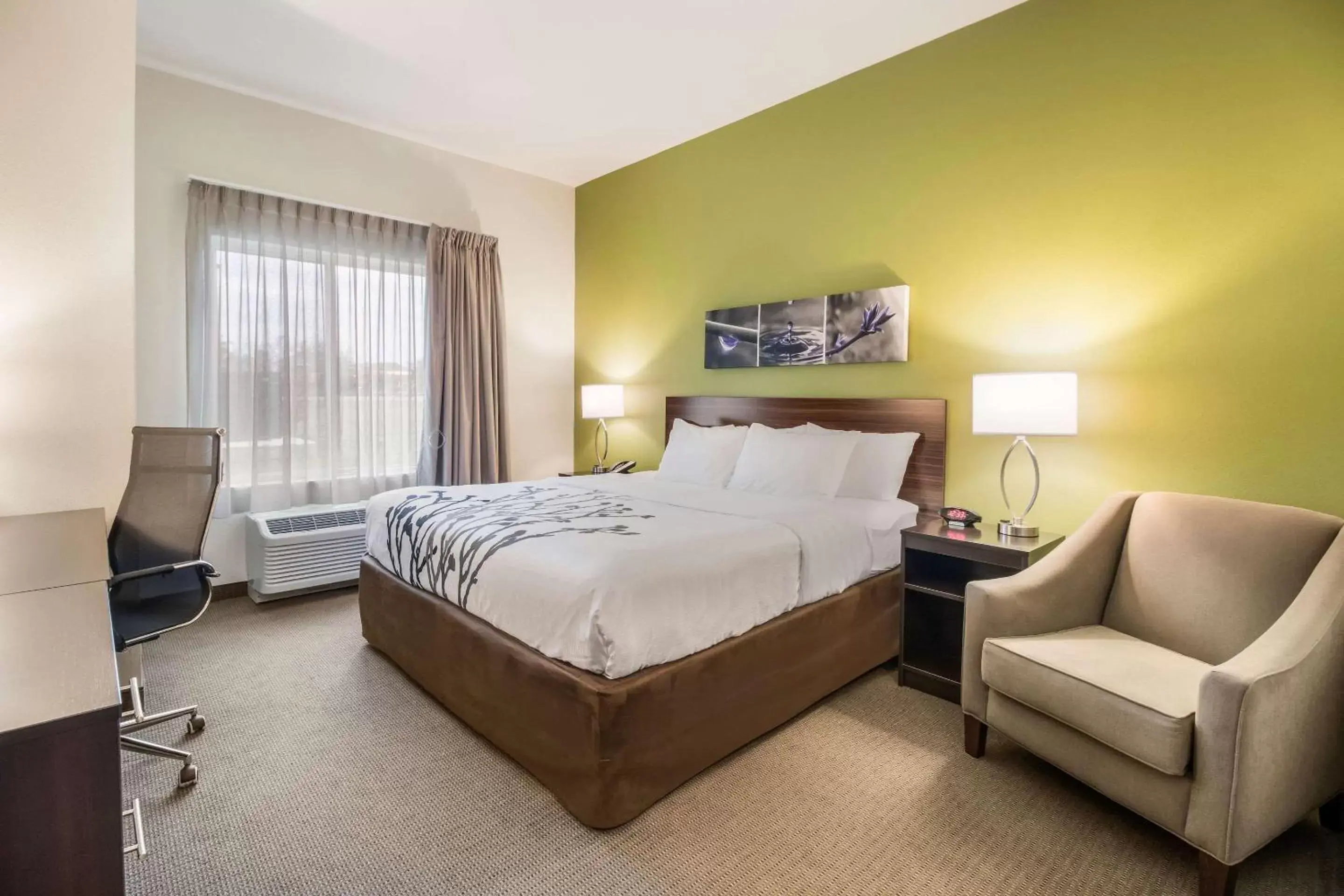 King Room - Non-Smoking in Sleep Inn King Room - Non-Smoking in Sleep Inn