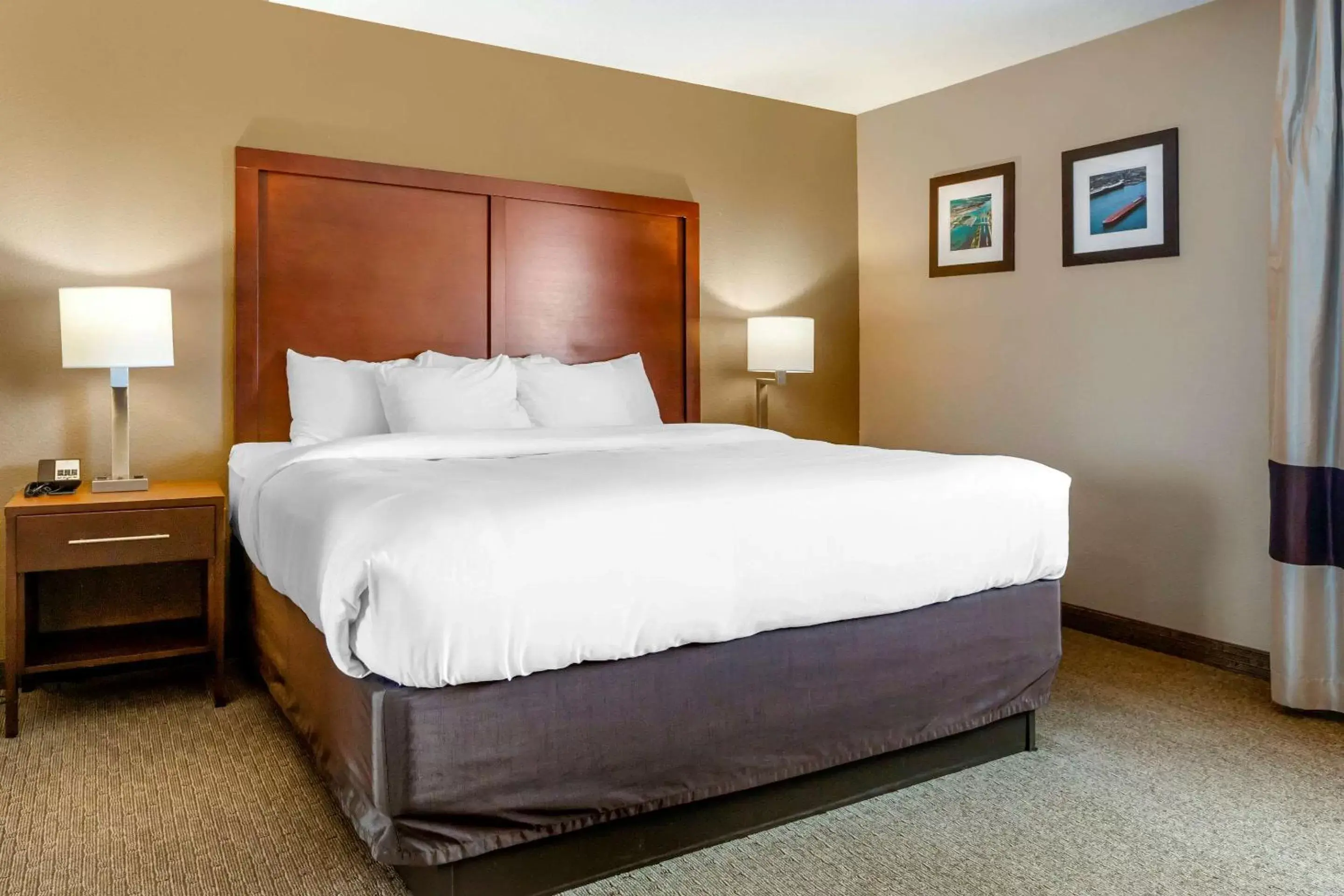 King Room - Non-Smoking in Comfort Inn King Room - Non-Smoking in Comfort Inn