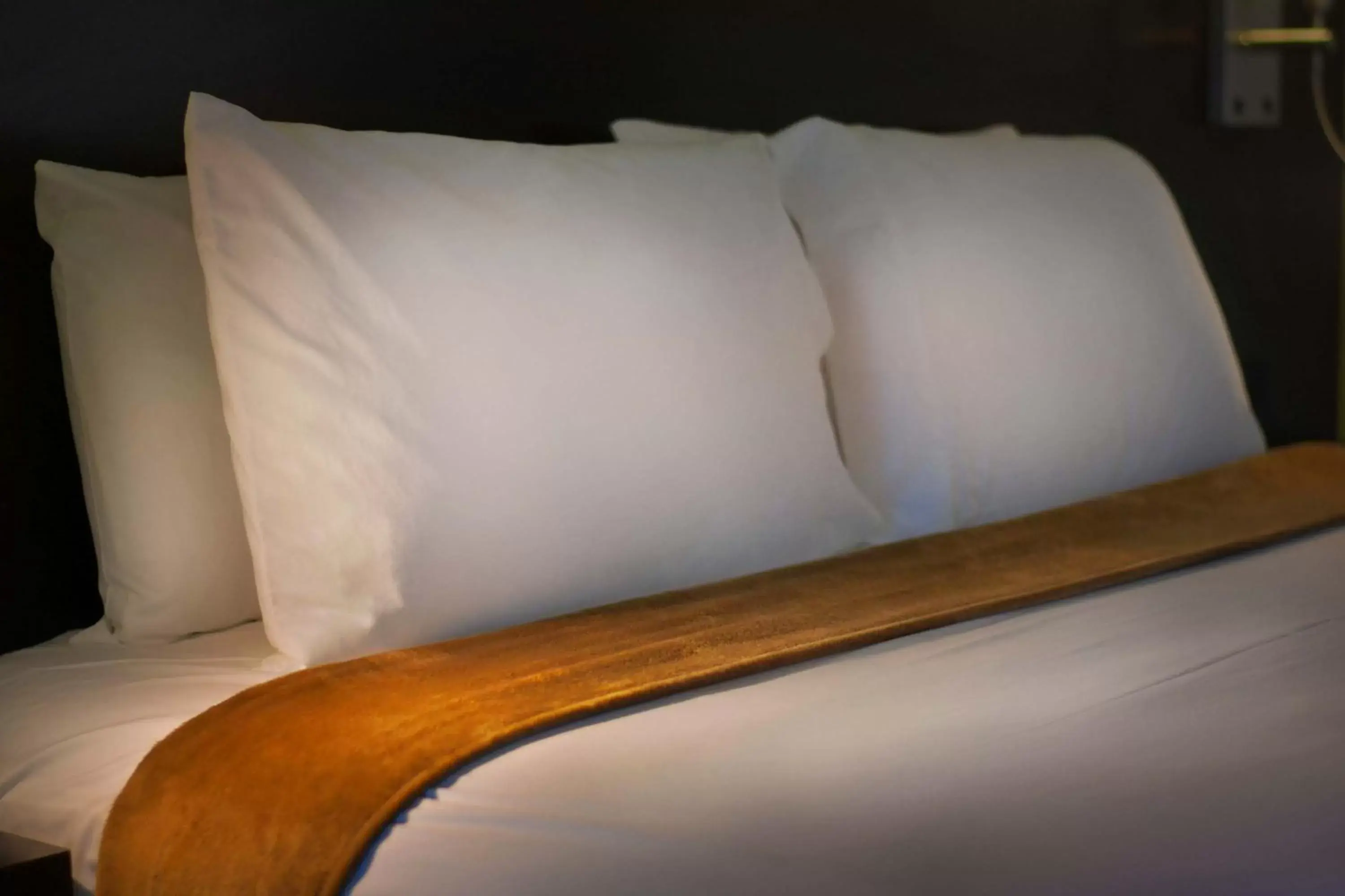 Superior Double Room in Foothills Motel Superior Double Room in Foothills Motel