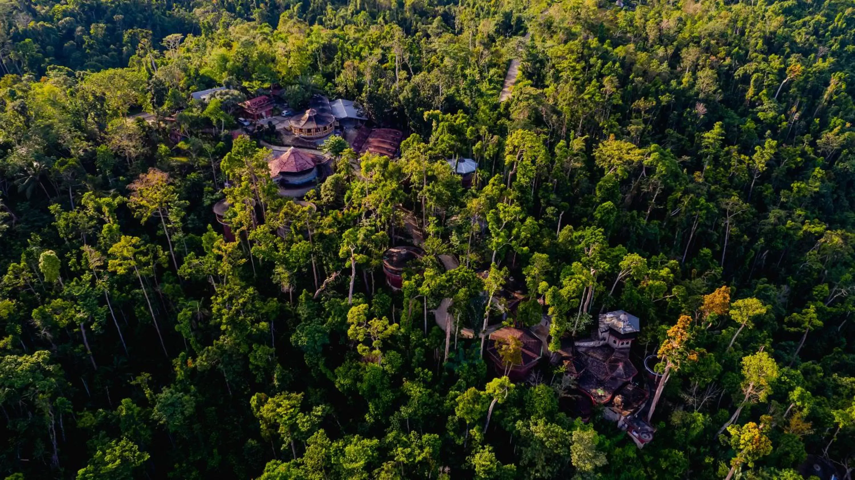 Family Suite in Atremaru Jungle Retreat Family Suite in Atremaru Jungle Retreat