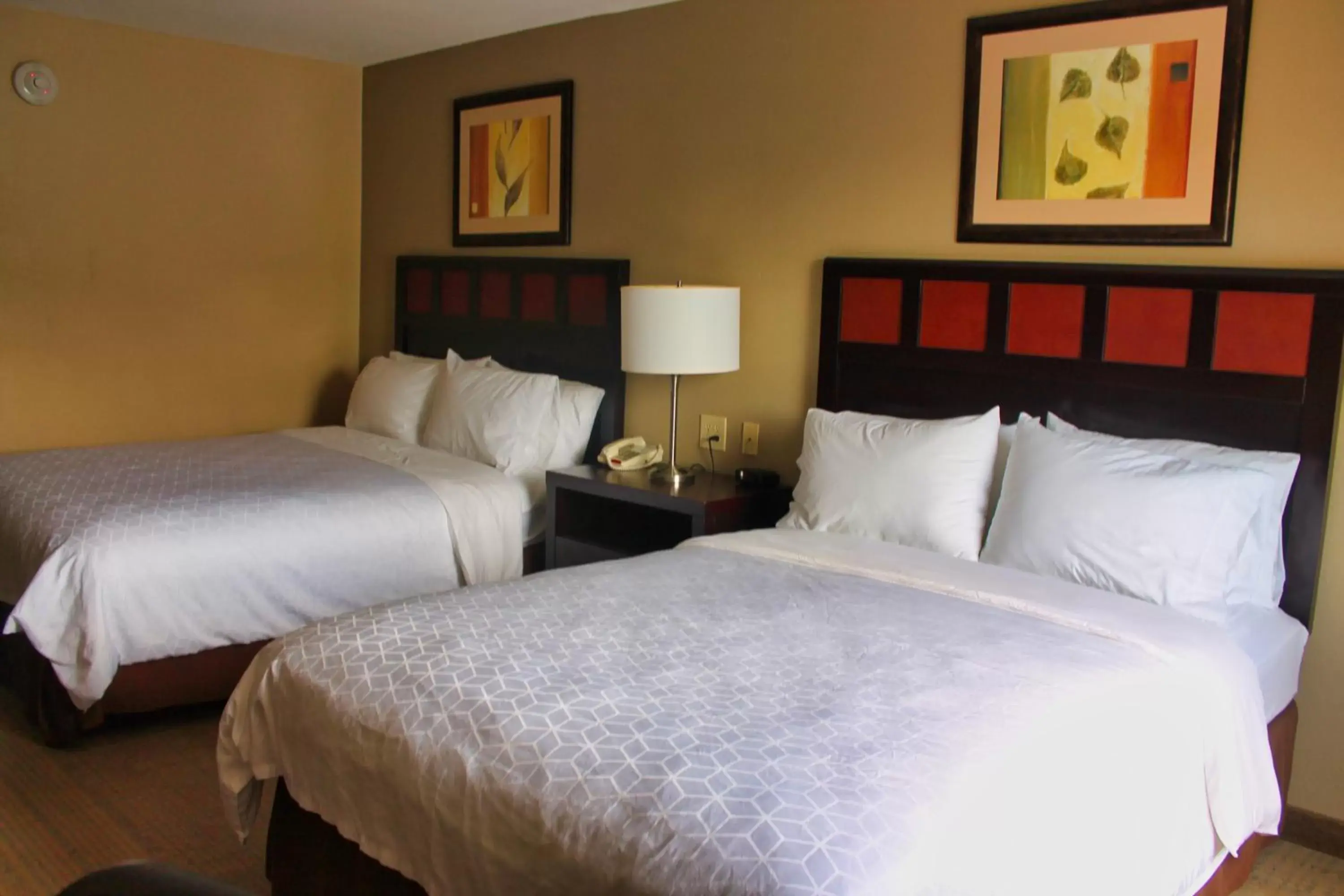 Queen Room with Two Queen Beds - Non-Smoking in Holiday Inn Express Palestine, an IHG Hotel Queen Room with Two Queen Beds - Non-Smoking in Holiday Inn Express Palestine, an IHG Hotel