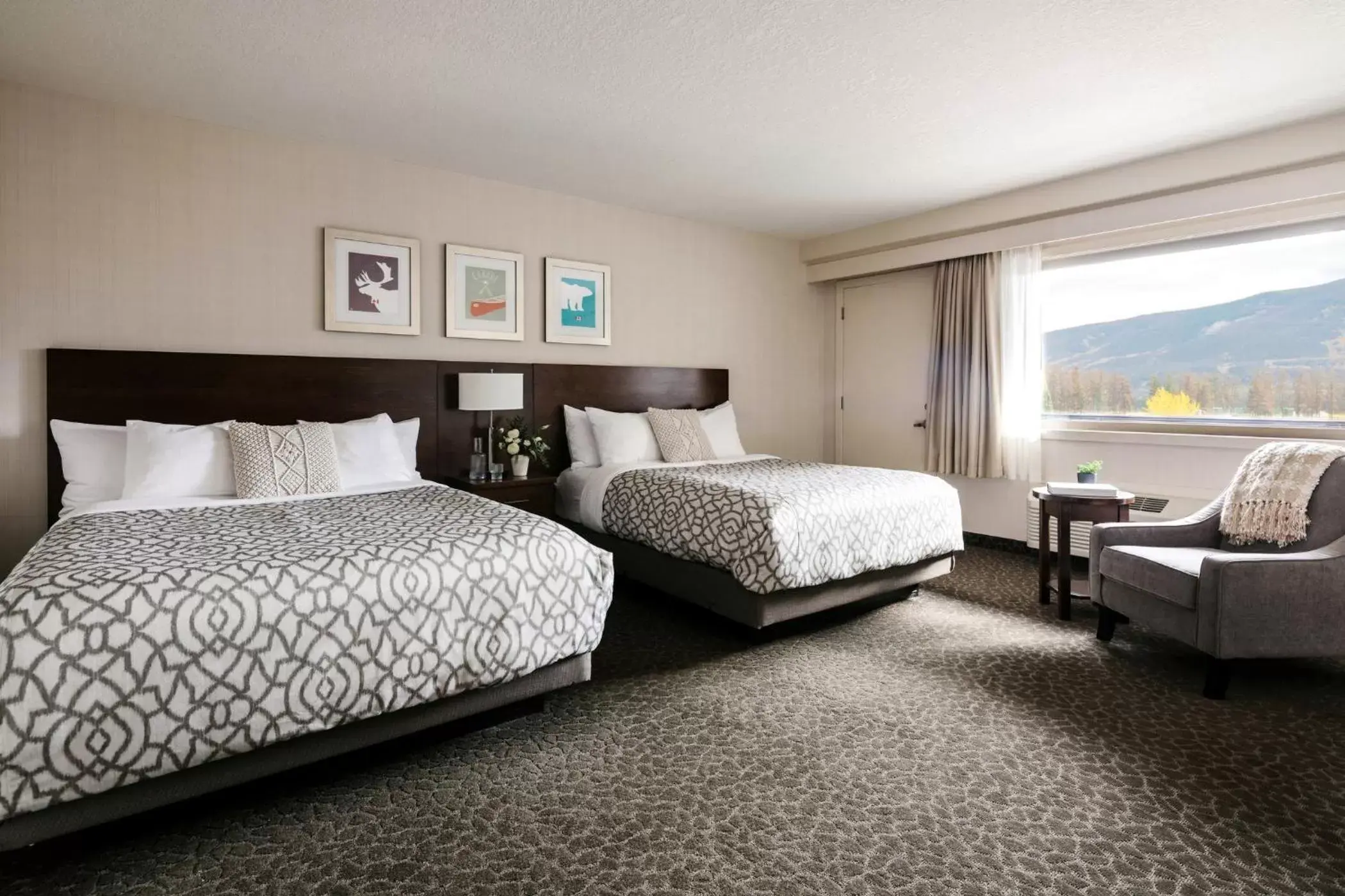 Queen Studio in The Crimson Jasper Queen Studio in The Crimson Jasper