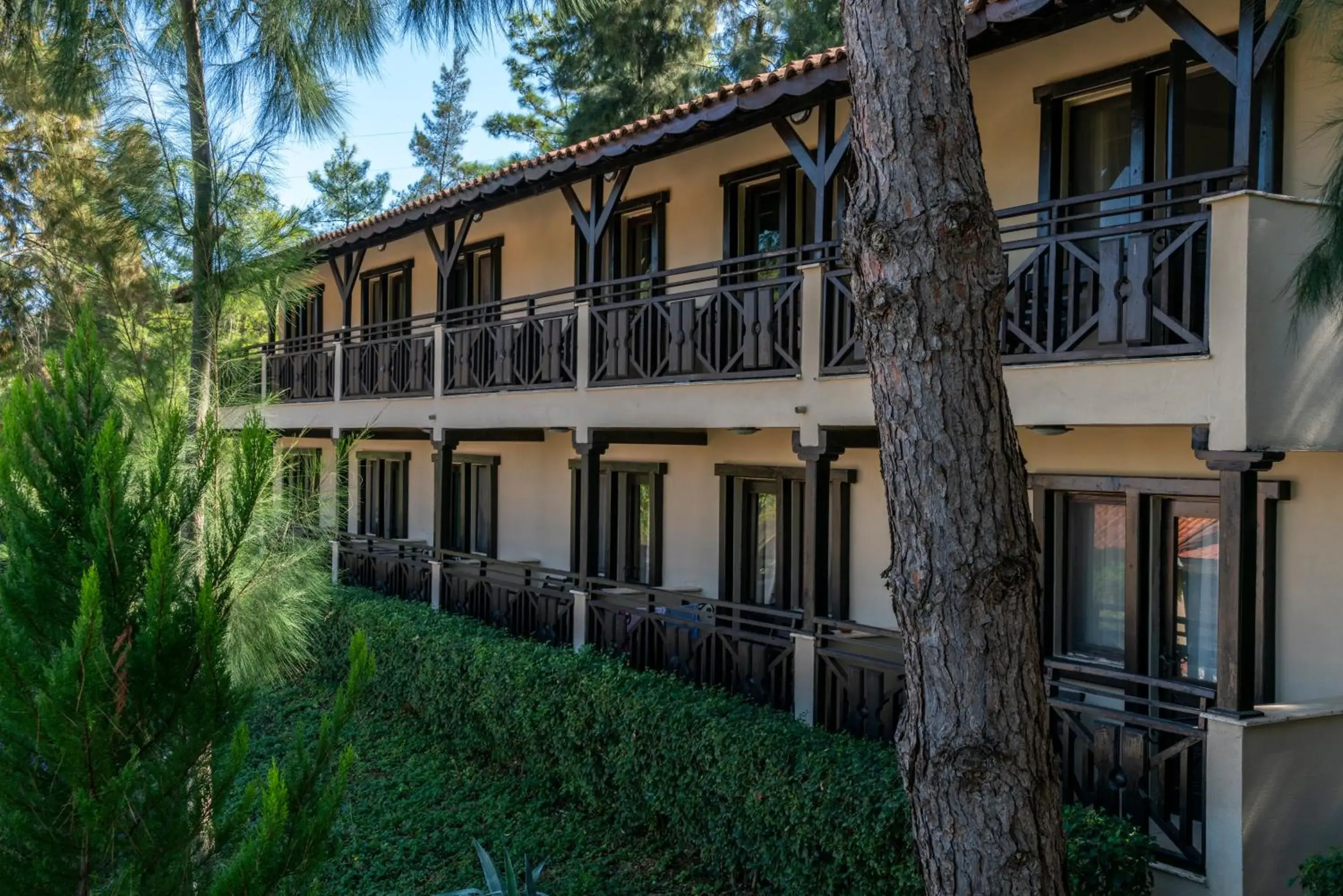 Standard Twin Room in Hotel Berke Ranch&Nature Standard Twin Room in Hotel Berke Ranch&Nature