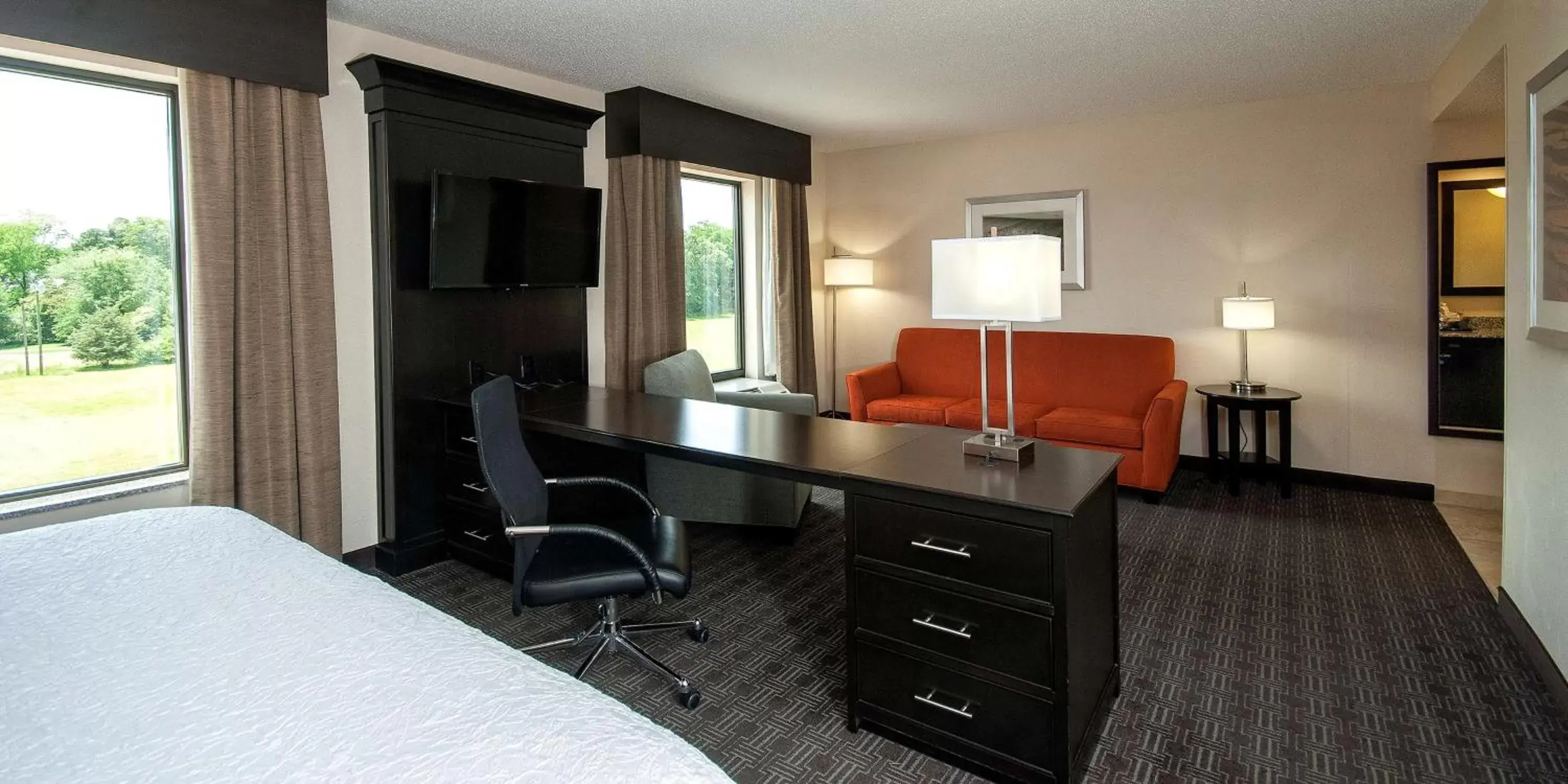 King Studio - Hearing Accessible in Hampton Inn & Suites Seneca-Clemson Area King Studio - Hearing Accessible in Hampton Inn & Suites Seneca-Clemson Area