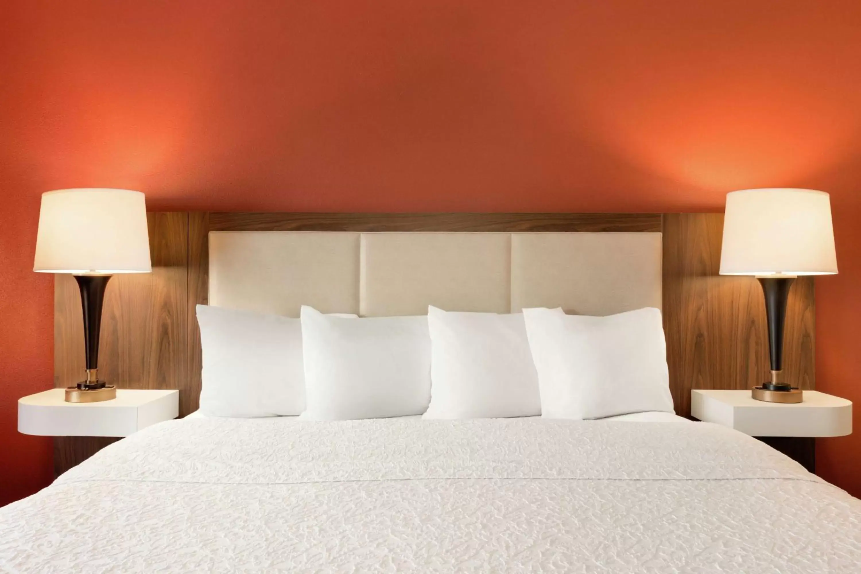 King Room with King Bed - Non-Smoking in Hampton Inn Wichita Falls-Sikes Senter Mall King Room with King Bed - Non-Smoking in Hampton Inn Wichita Falls-Sikes Senter Mall