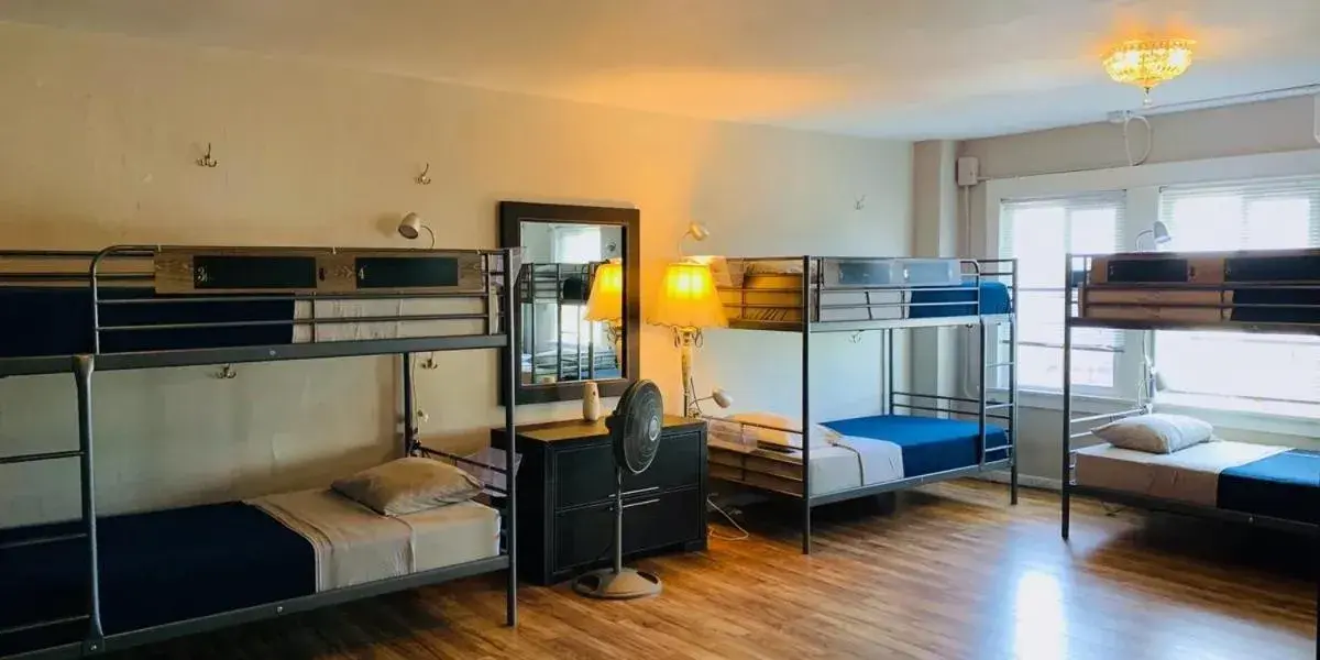 Bed in 12-Bed Female Dormitory Room in Melrose Hostel Bed in 12-Bed Female Dormitory Room in Melrose Hostel