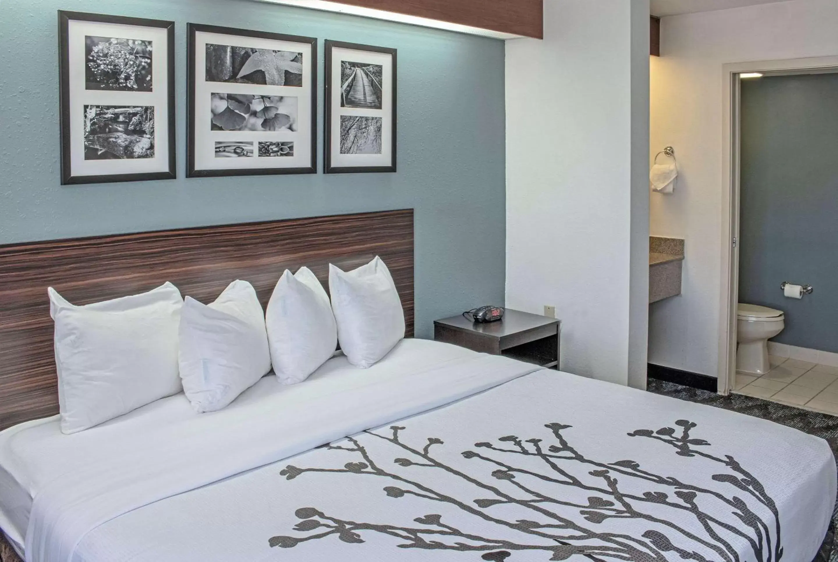 King Room - Non-Smoking in Sleep Inn Lake Wright - Norfolk Airport King Room - Non-Smoking in Sleep Inn Lake Wright - Norfolk Airport