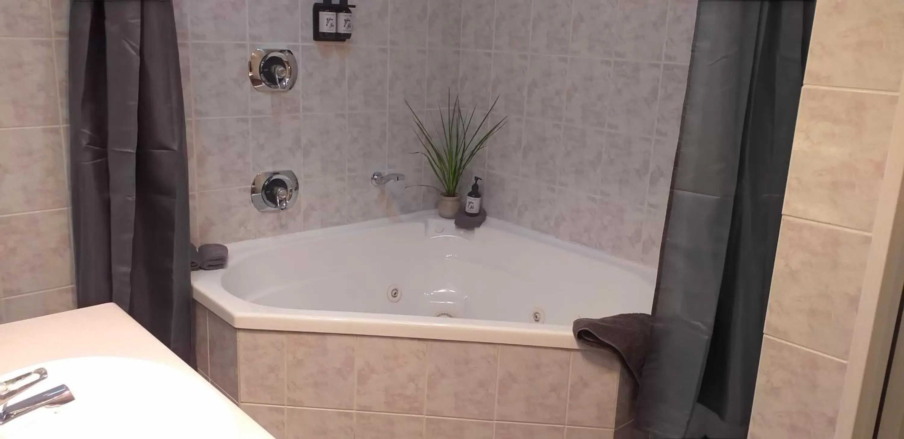 Studio with Spa Bath in Shadzz Motel Studio with Spa Bath in Shadzz Motel