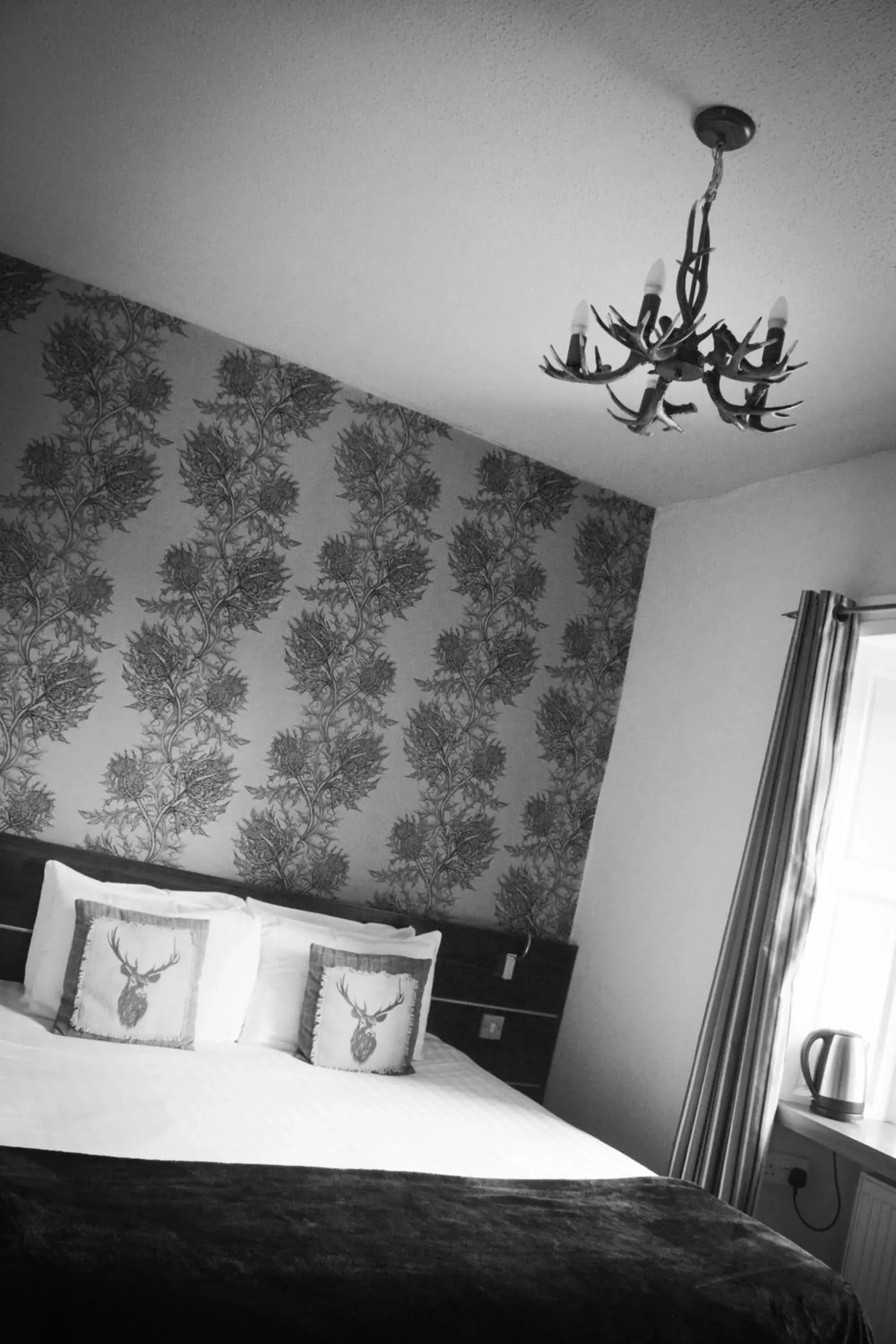 Double Room - single occupancy in The Drymen Inn Double Room - single occupancy in The Drymen Inn