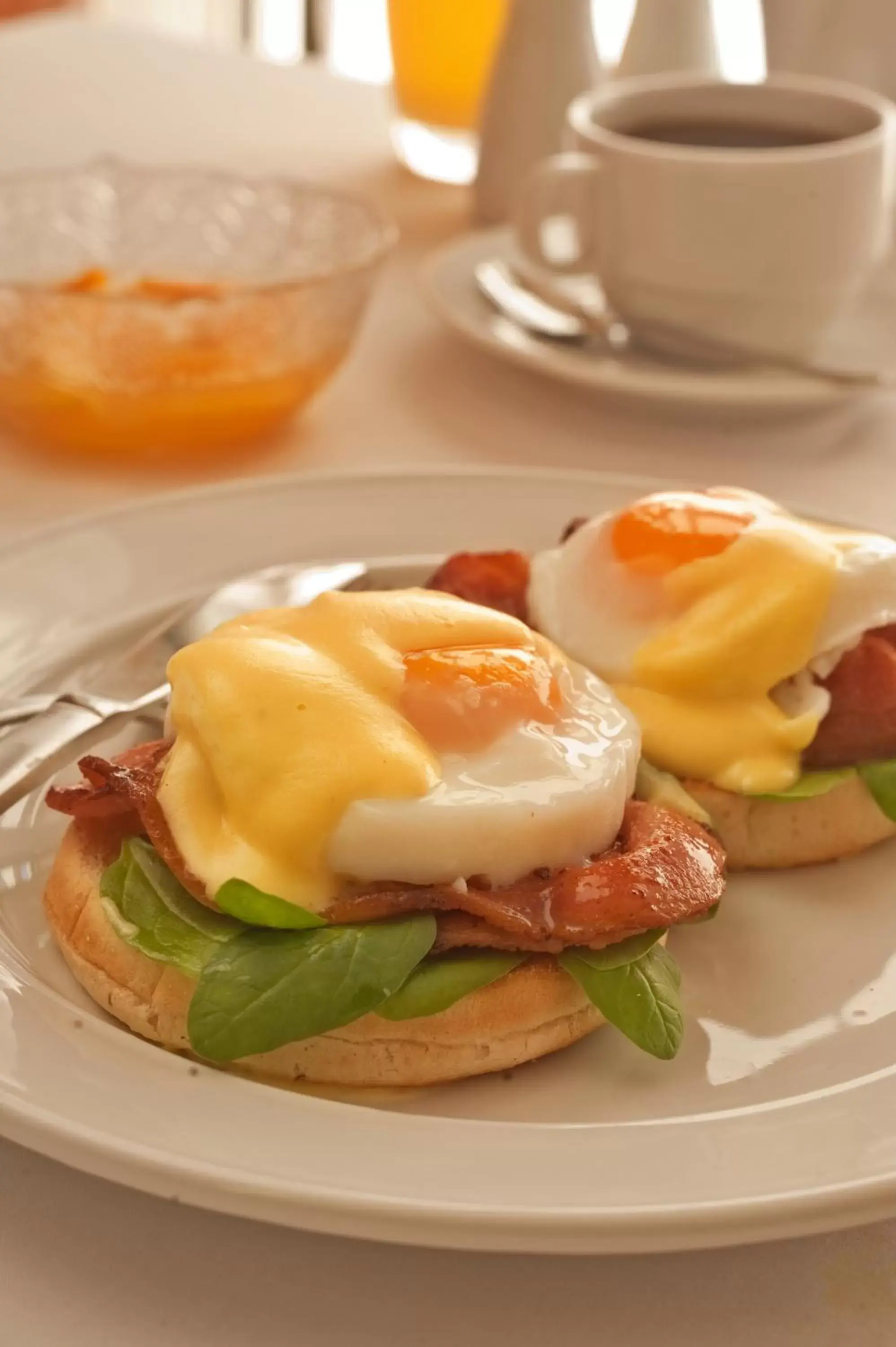 Homestead Villa Motel Homestead Villa Motel