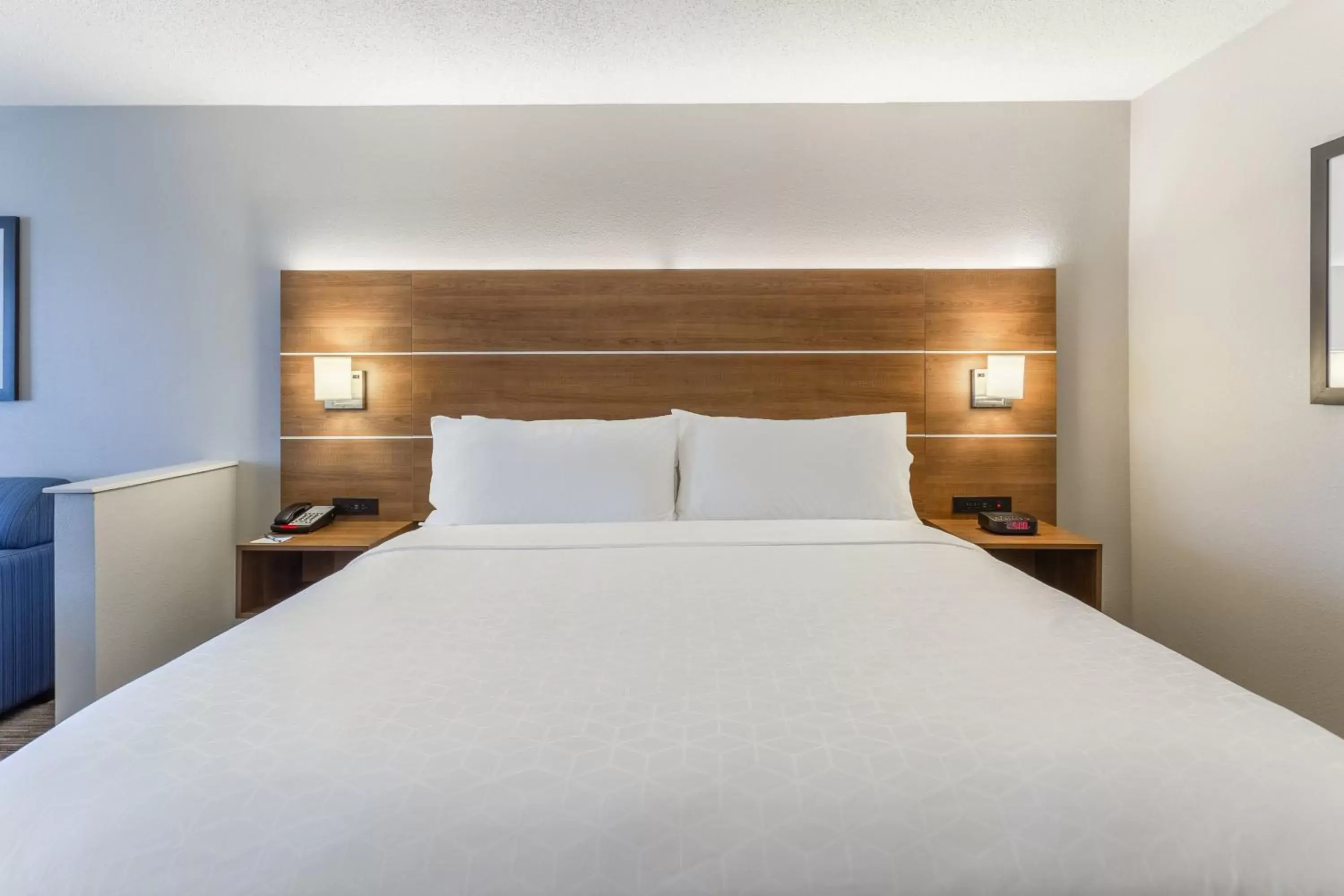 King Studio Suite with Mobility Accessible Tub - Non-Smoking in Holiday Inn Express & Suites O'Fallon-Shiloh by IHG King Studio Suite with Mobility Accessible Tub - Non-Smoking in Holiday Inn Express & Suites O'Fallon-Shiloh by IHG