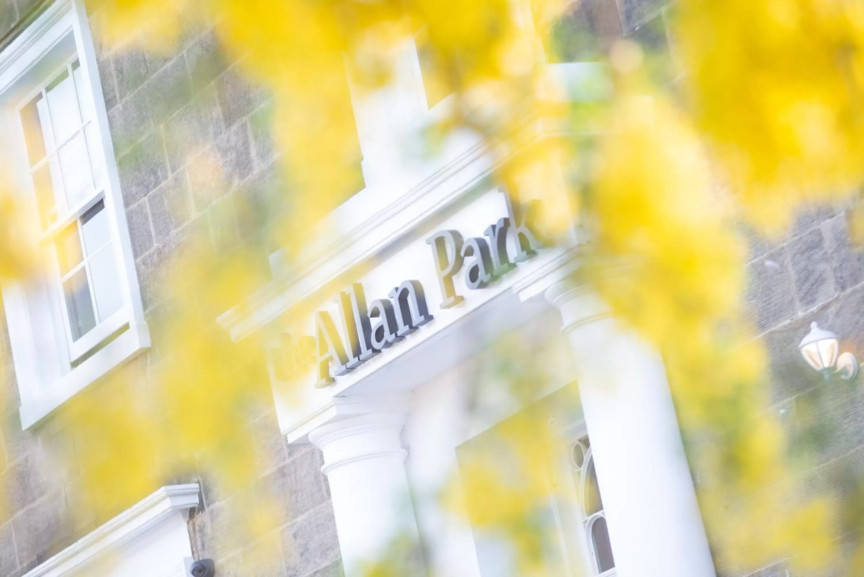 The Allan Park The Allan Park