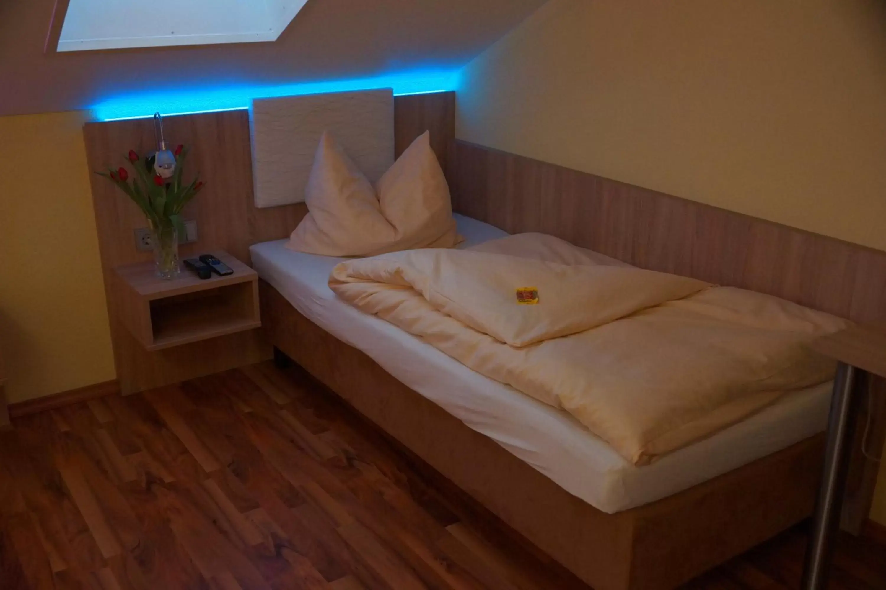 Single Room in Hotel garni Kleindienst Single Room in Hotel garni Kleindienst