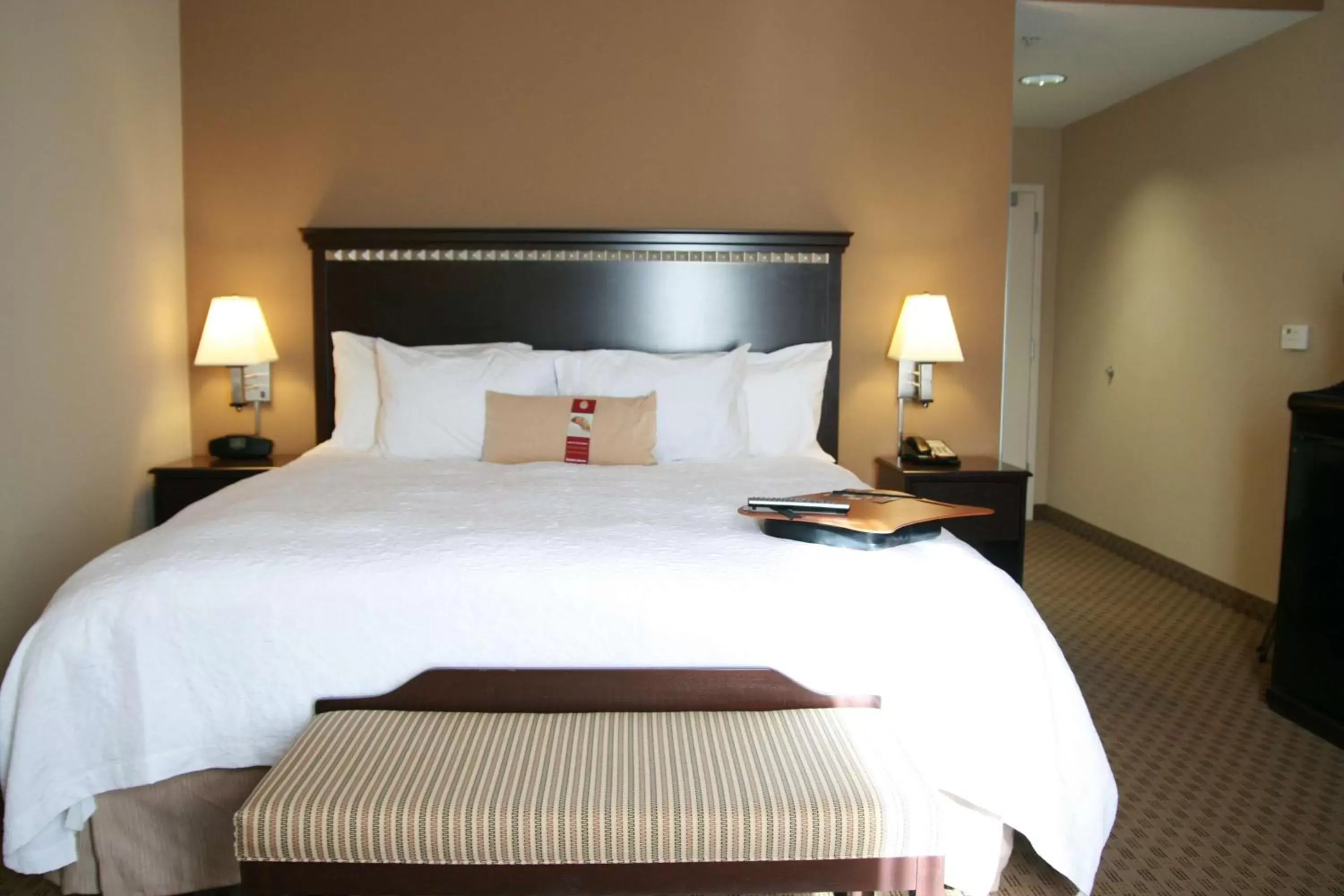 King Room in Hampton Inn Topeka King Room in Hampton Inn Topeka