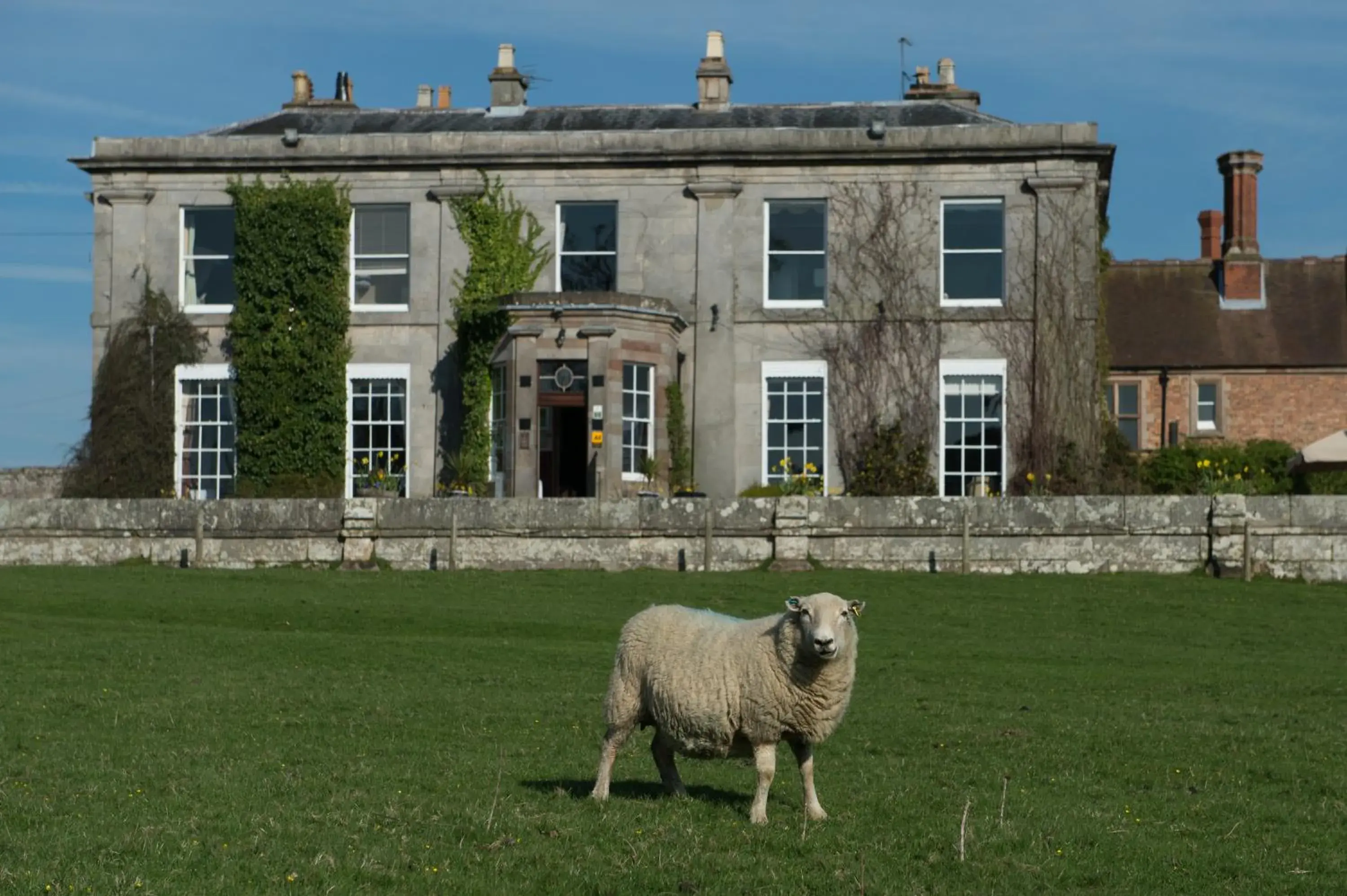 The Sweeney The Sweeney