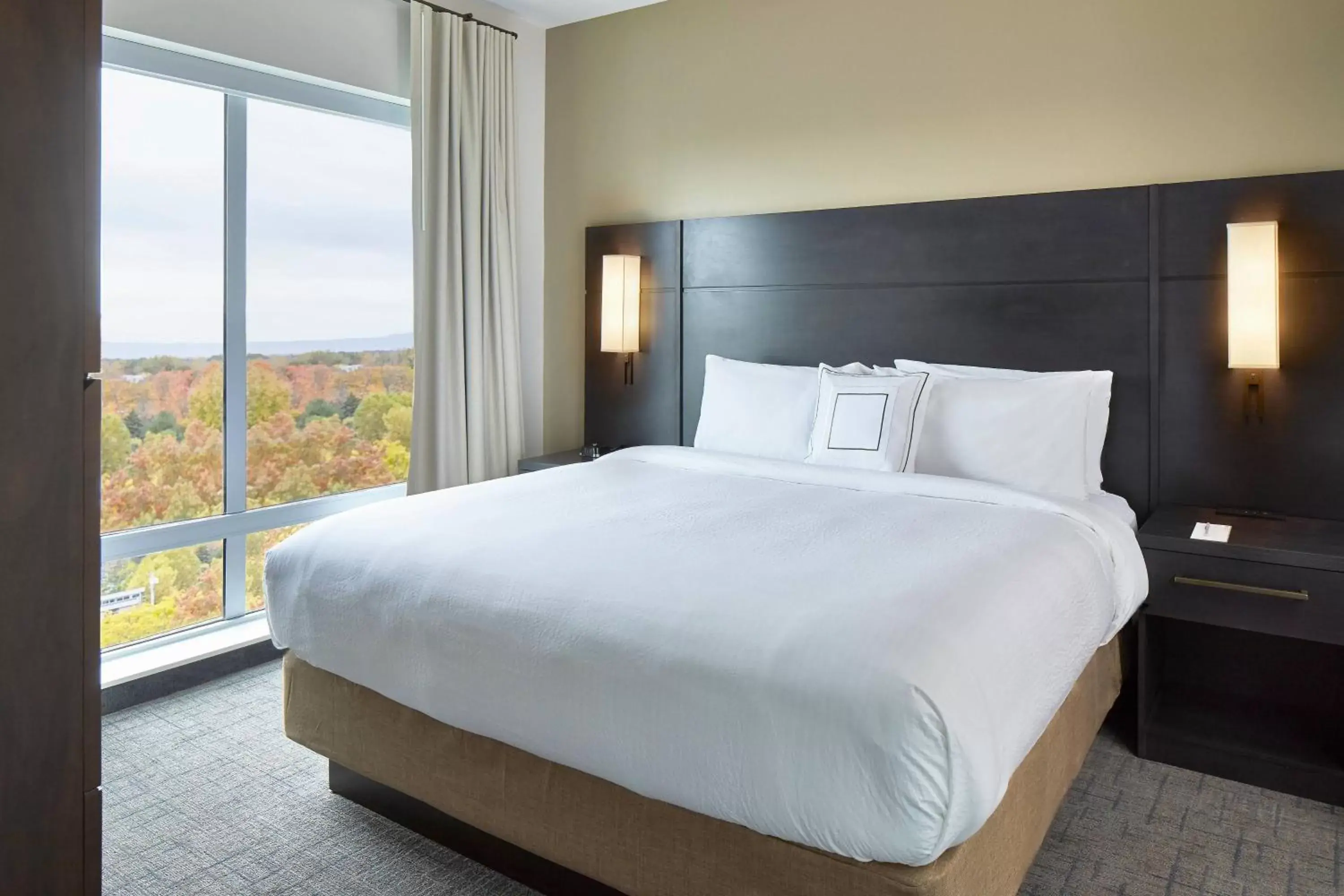 1 Bedroom Suite, 1 King, Sofa bed in Residence Inn by Marriott Albany Airport 1 Bedroom Suite, 1 King, Sofa bed in Residence Inn by Marriott Albany Airport