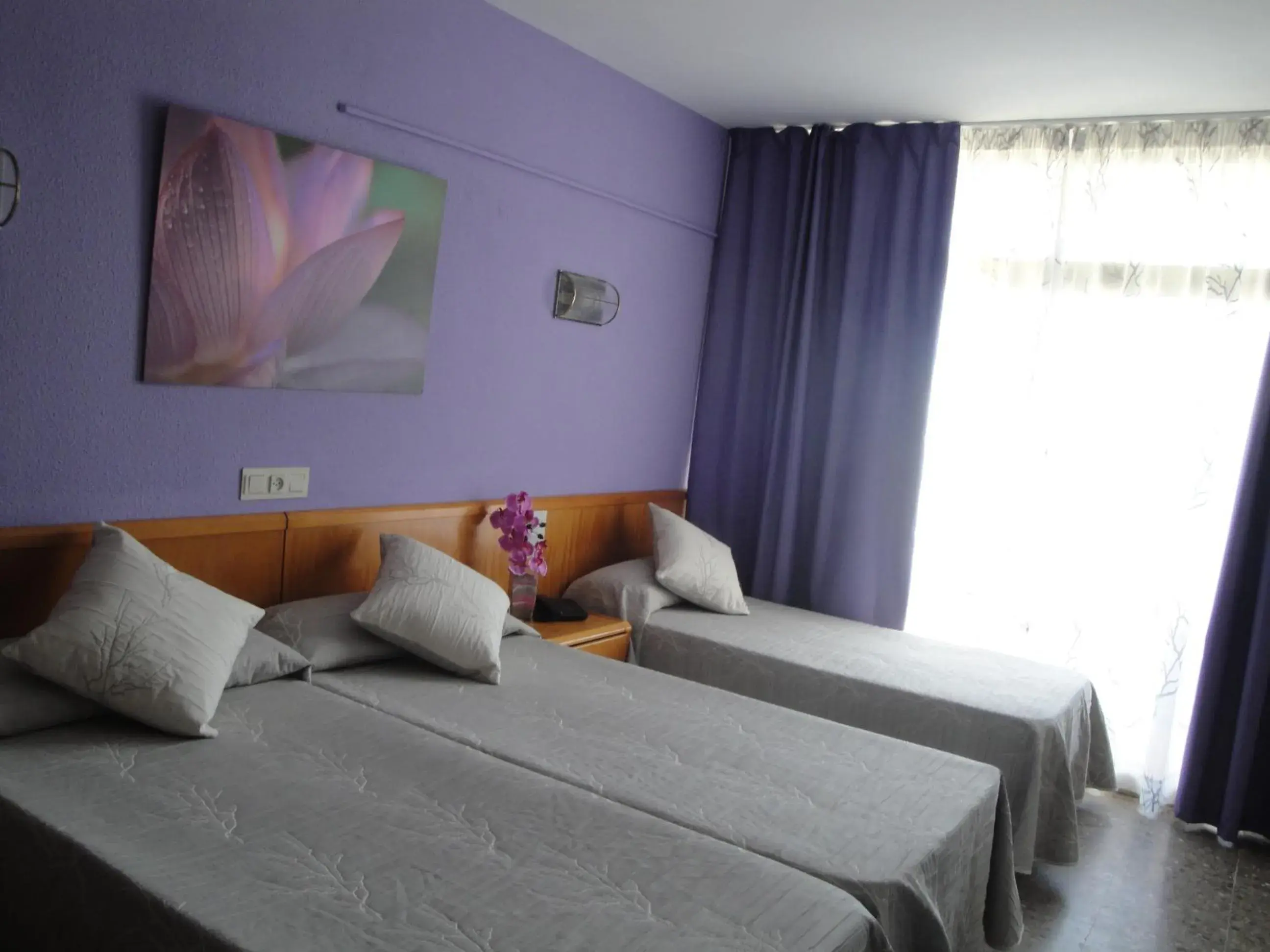 Double Room with Extra Bed (3 Adults) in Hotel Esplendid Double Room with Extra Bed (3 Adults) in Hotel Esplendid